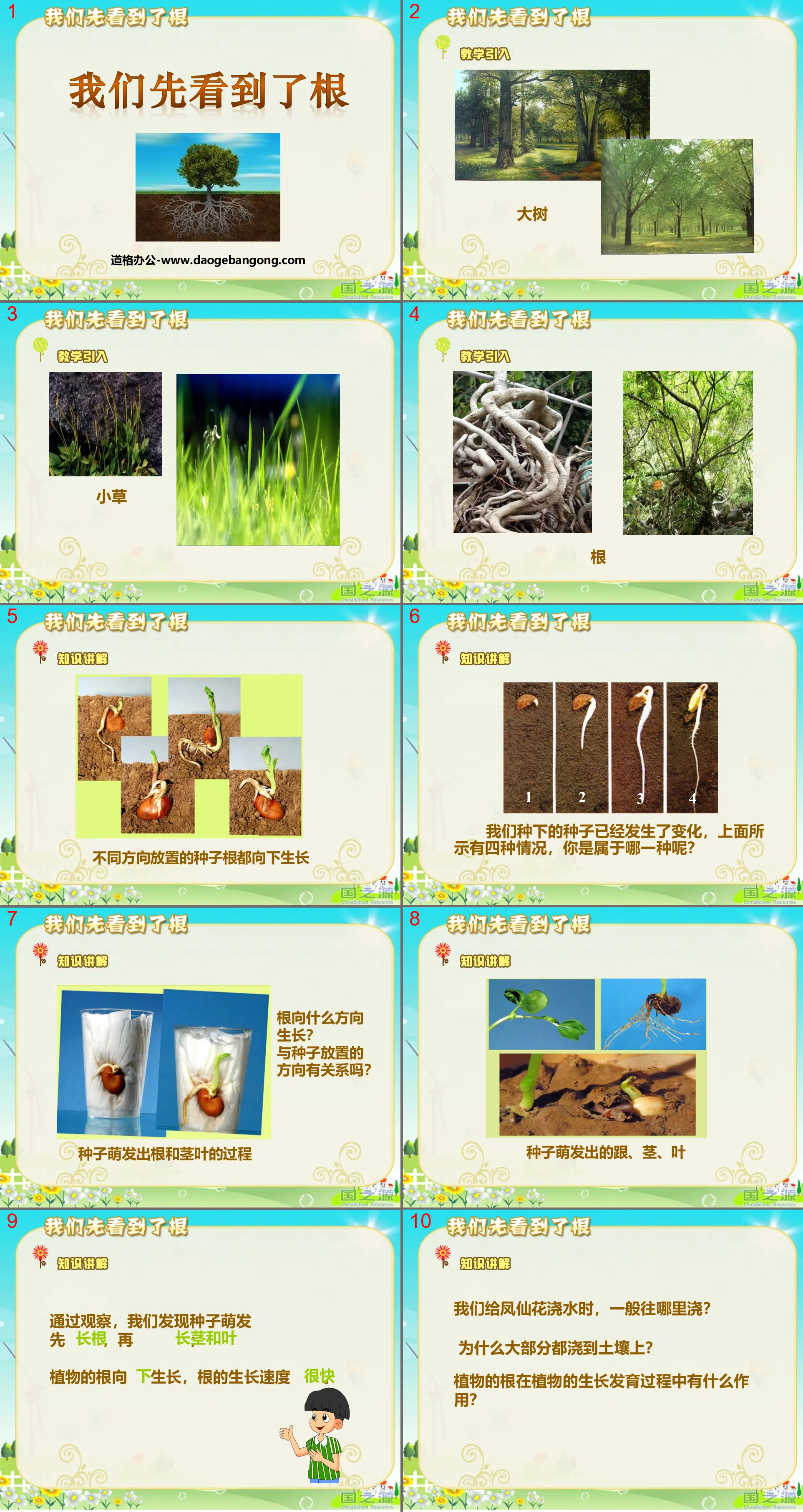 "We Saw the Roots First" Plant Growth Changes PPT Courseware 2