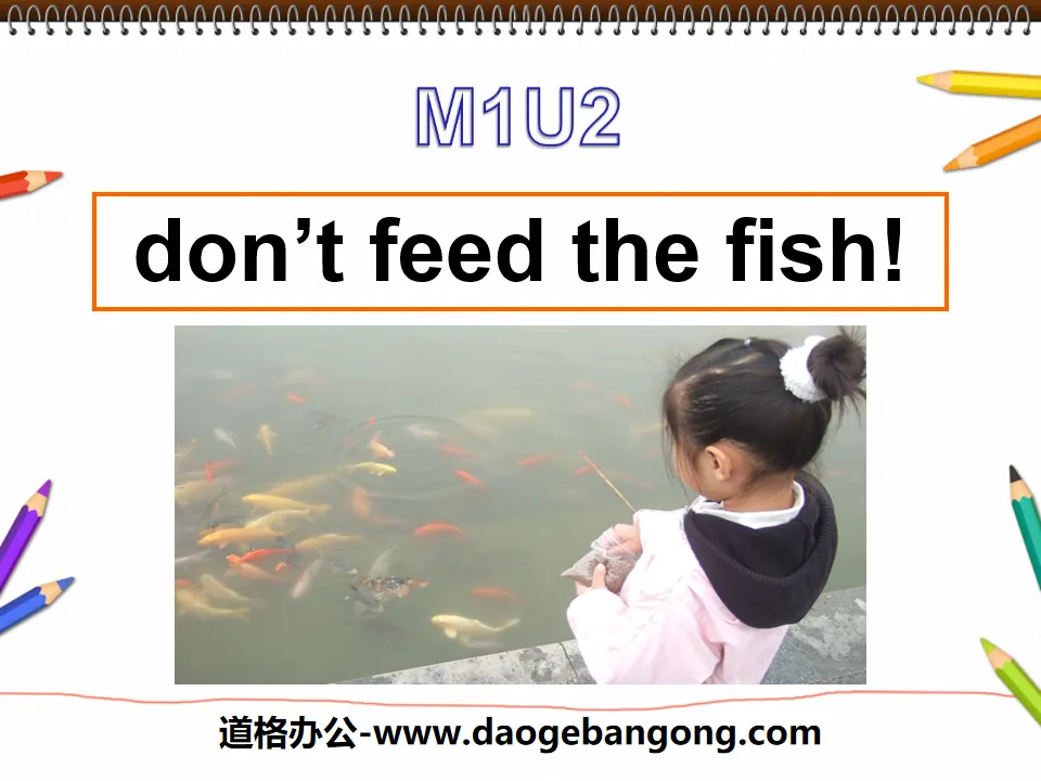 《Don't feed the fish》PPT课件2
