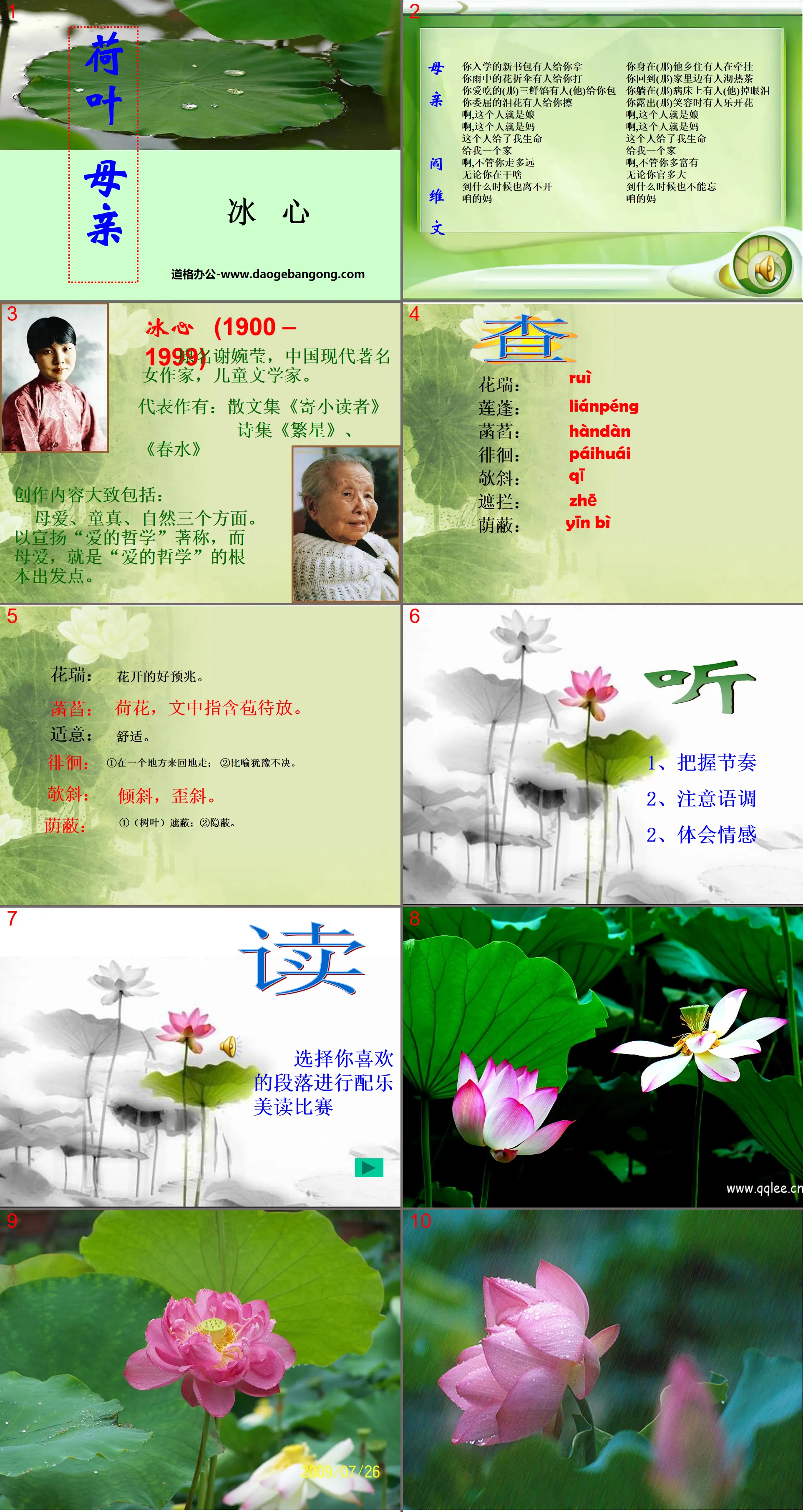 "Lotus Leaf Mother" PPT courseware 3