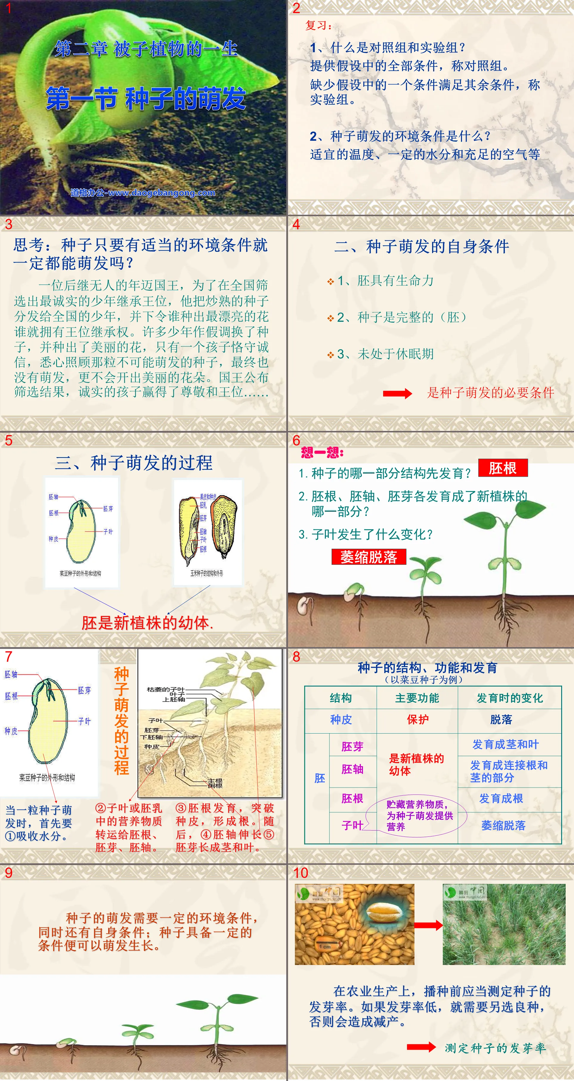 《種子的萌發》被子植物的一生PPT課程2