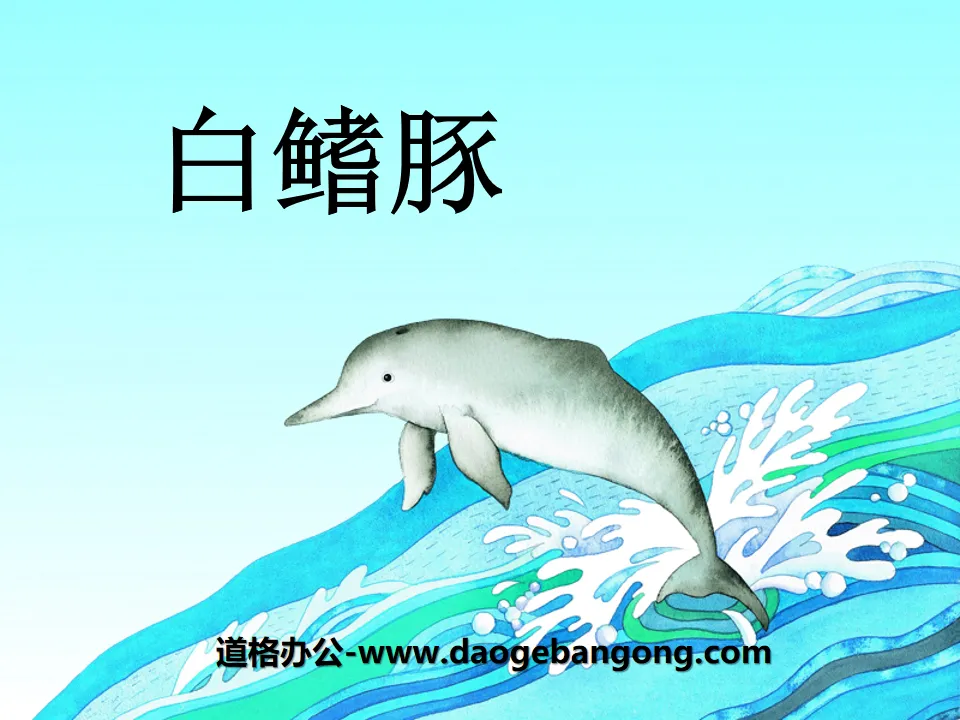 "Baiji Dolphin" PPT courseware 3