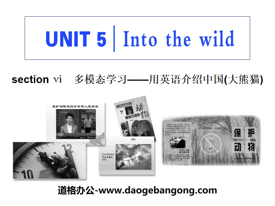 "Into the wild" Section Ⅵ PPT courseware