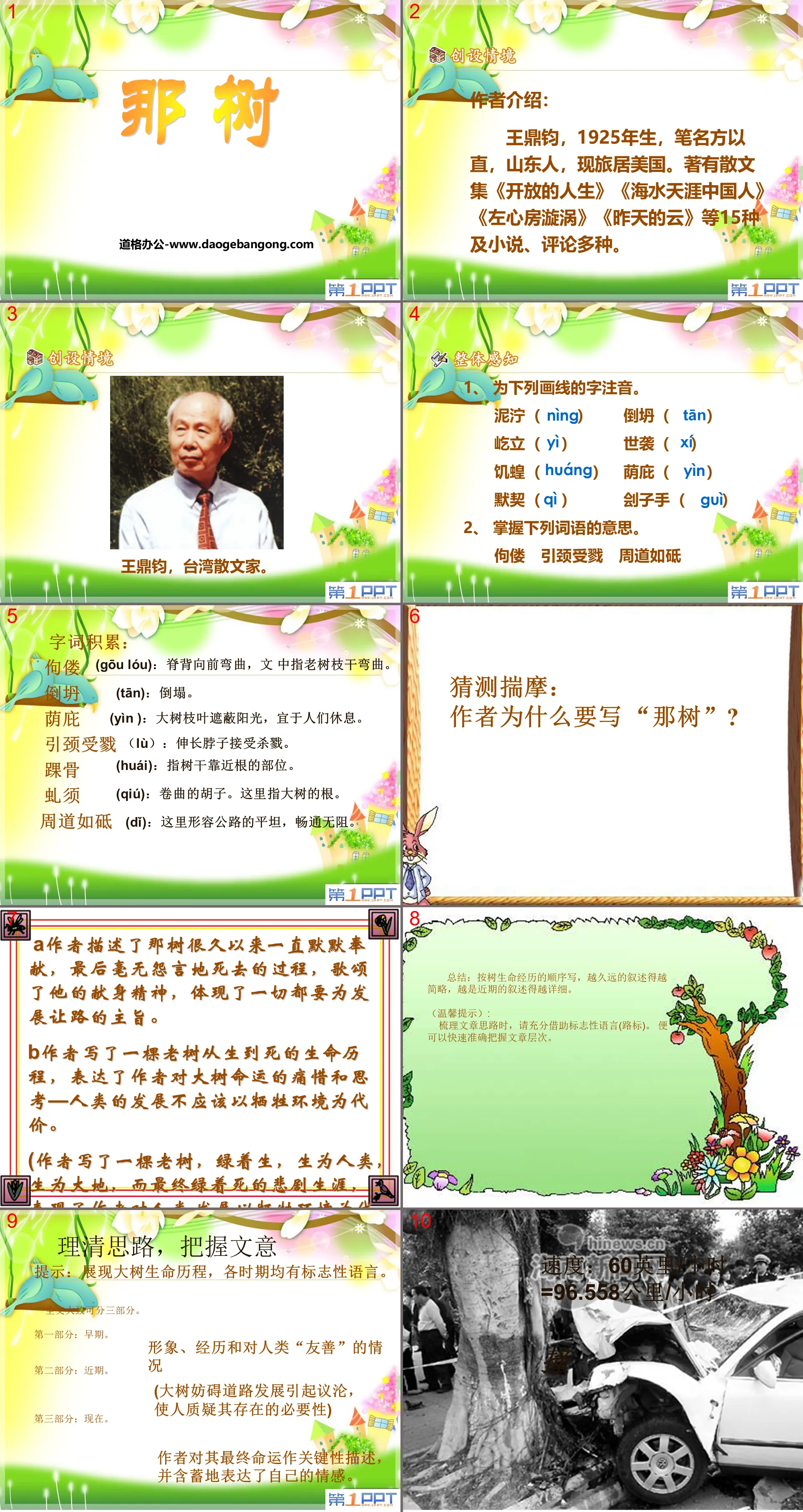 《那树》PPT课件7
