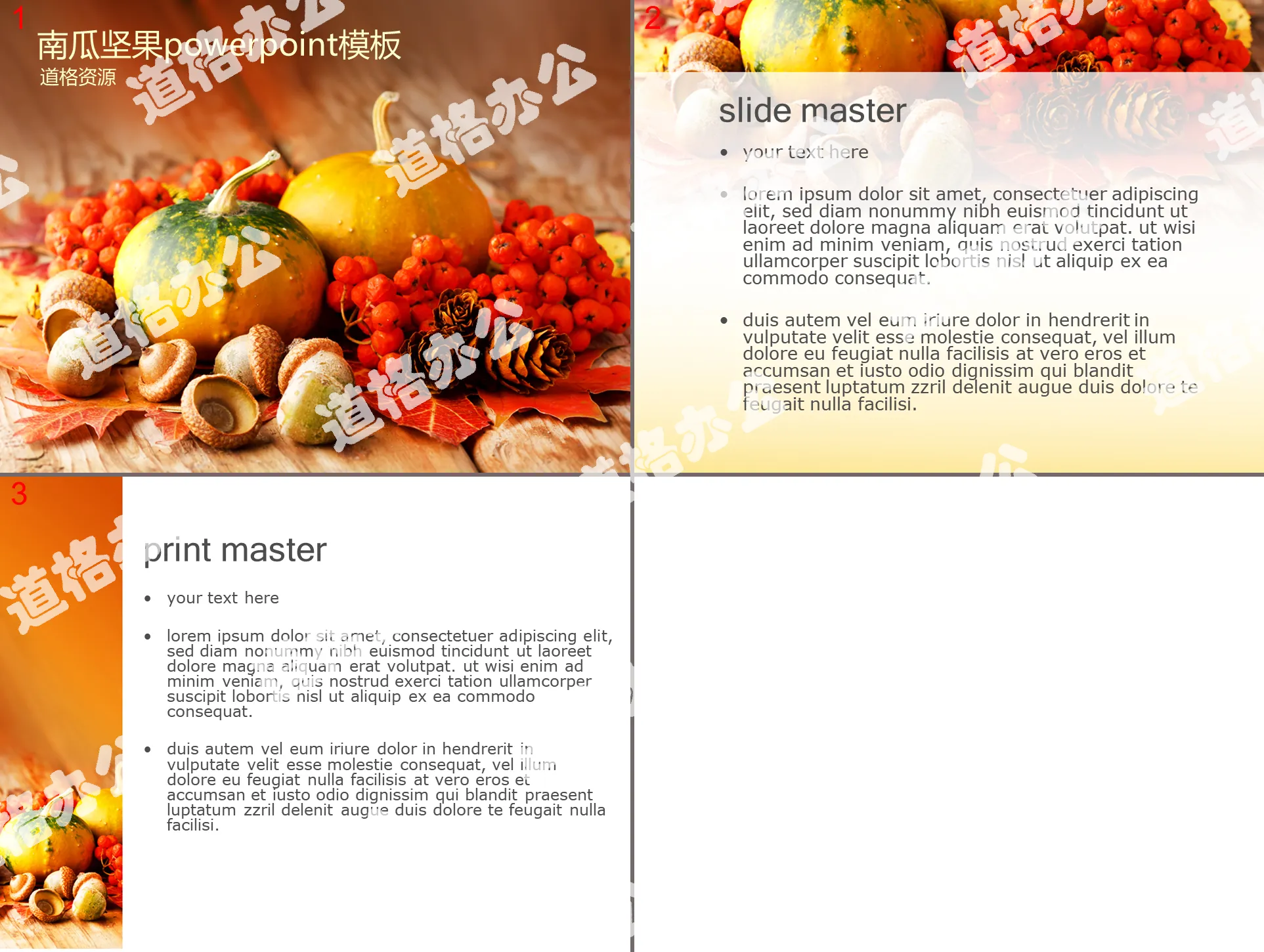 Vegetable PPT template with pumpkin nut background