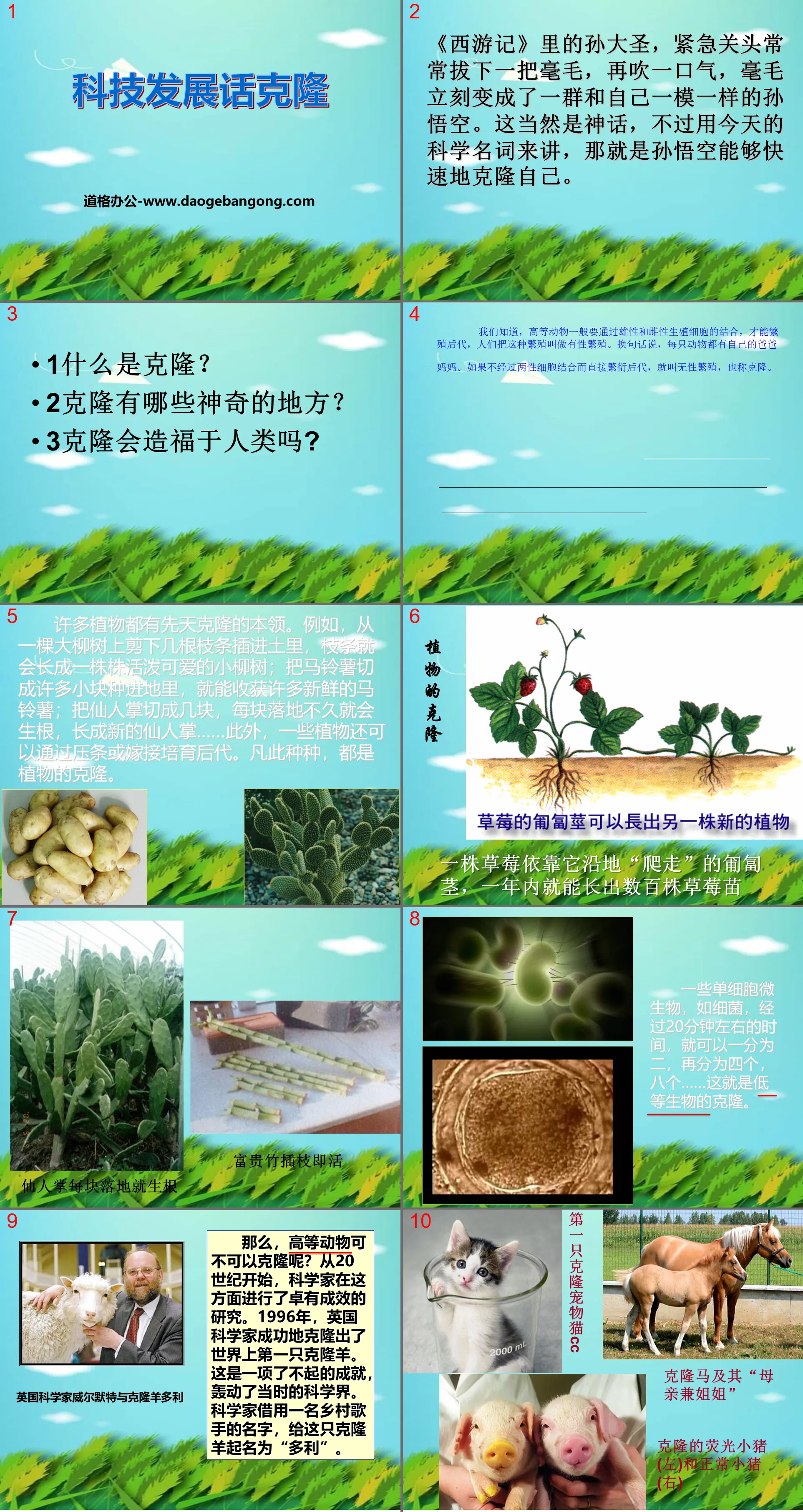 《科學發展話克隆 》PPT