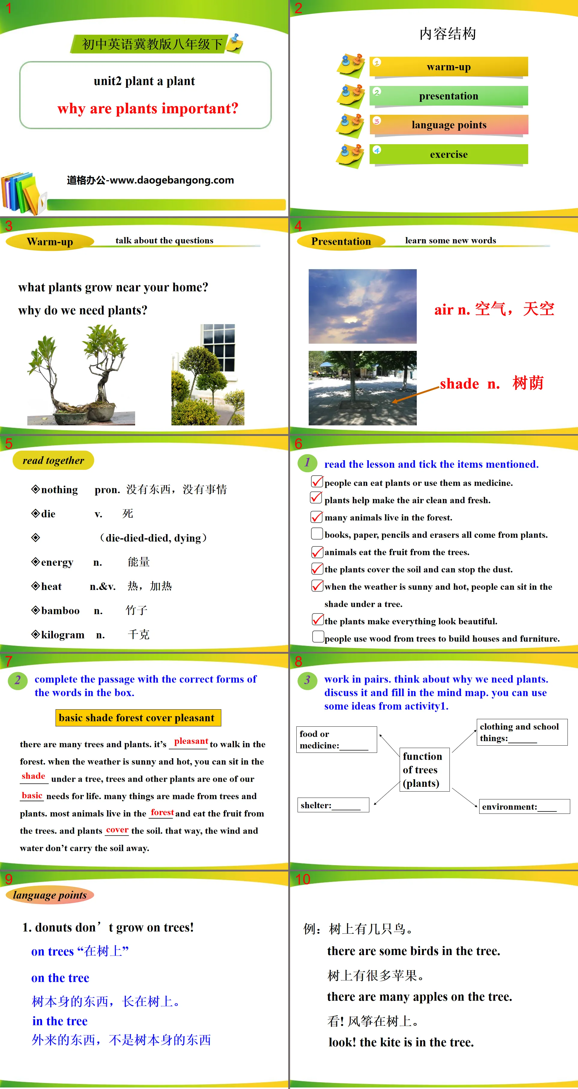 « Pourquoi les plantes sont-elles importantes ? » Planter une plante PPT