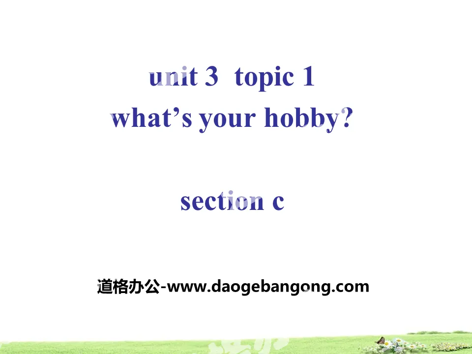 《What's your hobby?》SectionC PPT
