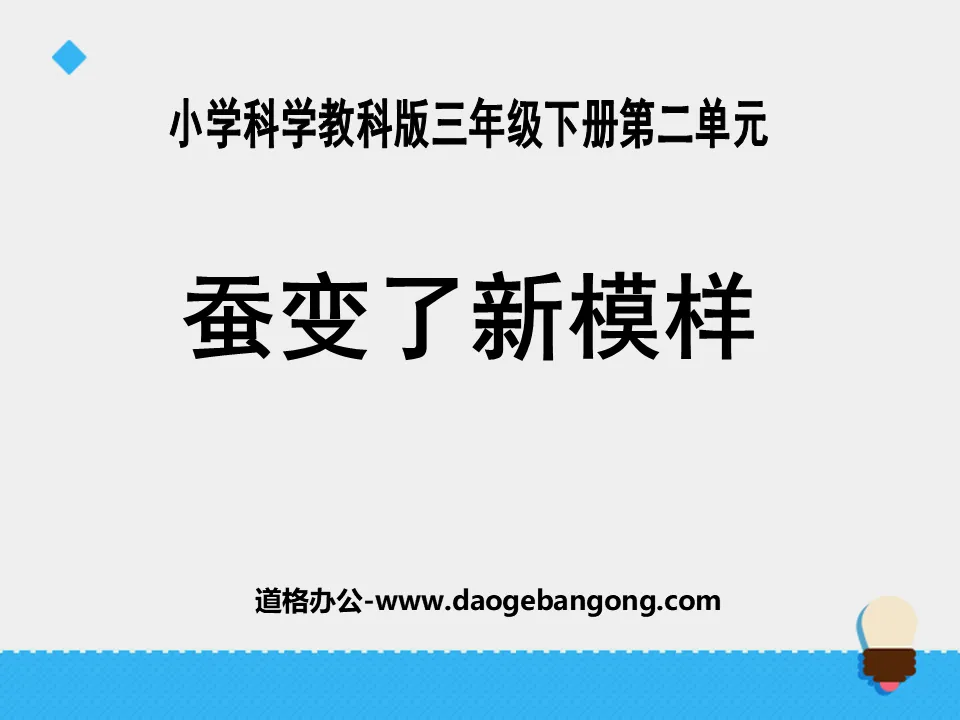 《蠶變了新模樣》動物的生命週期PPT課件3