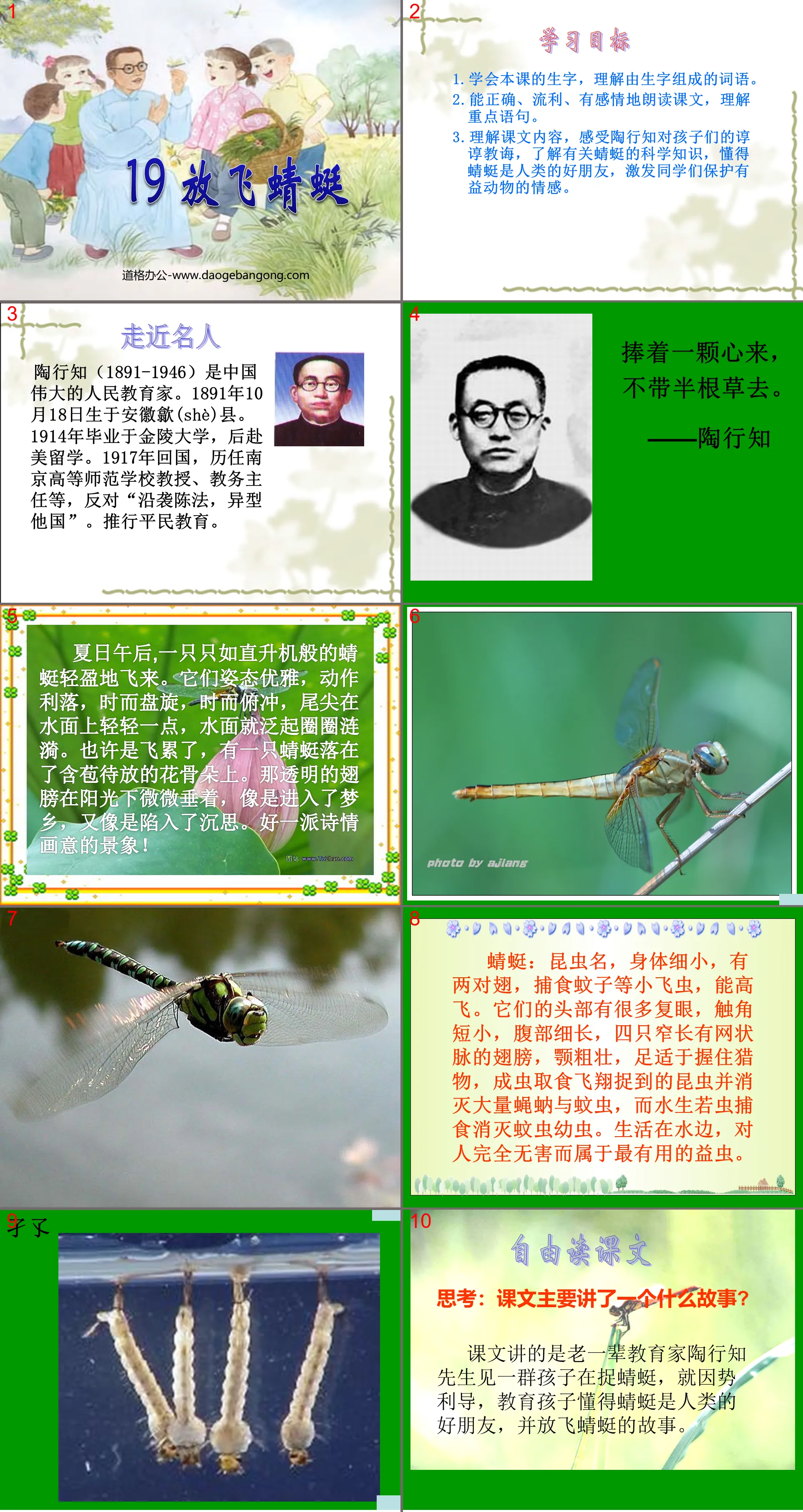 "Releasing Dragonflies" PPT Courseware 2