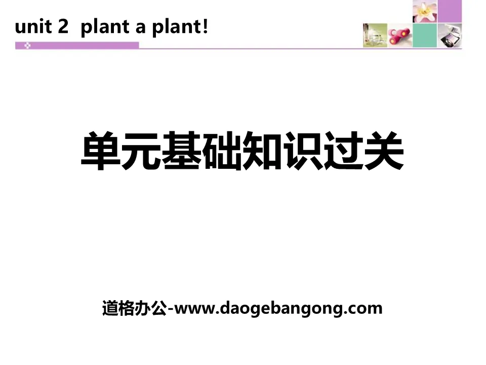 《單元基礎知識過關》Plant a Plant PPT