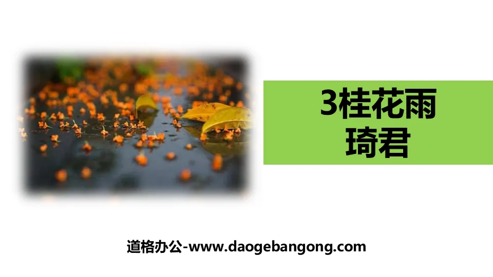 "Osmanthus Rain" PPT free download