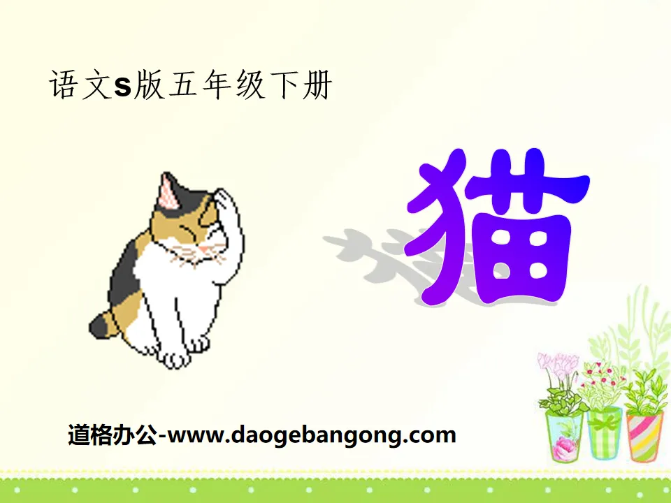 《猫》PPT课件8
