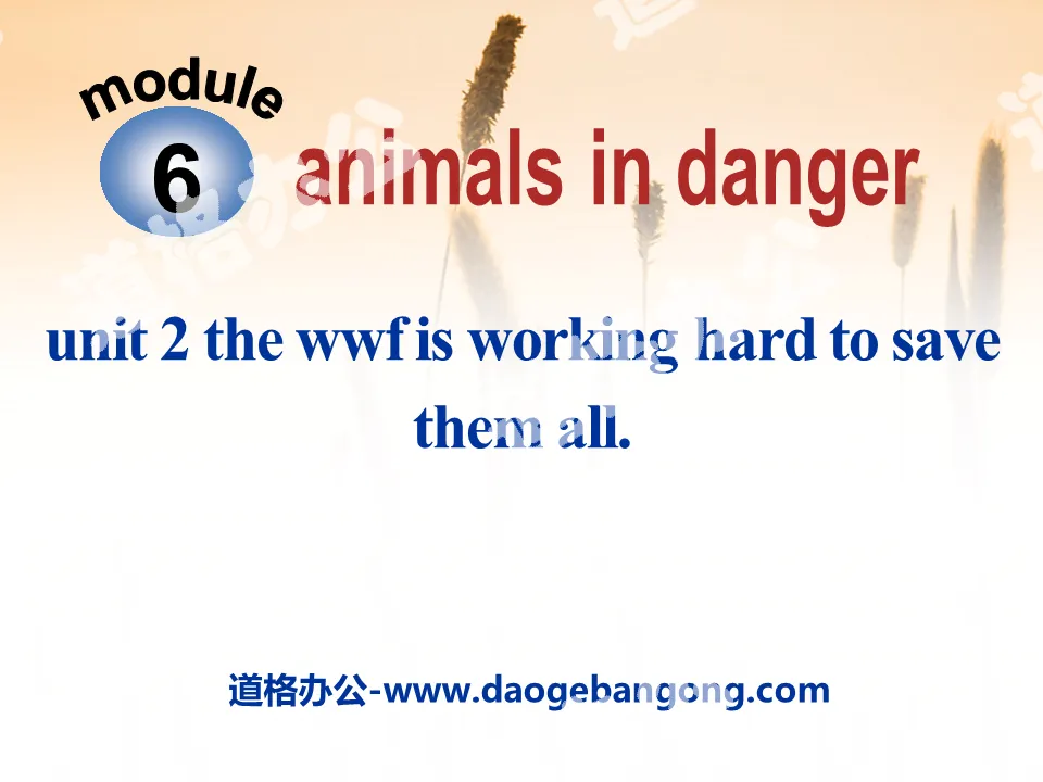 《The WWF is working hard to save them all》Animals in danger PPT课件3

