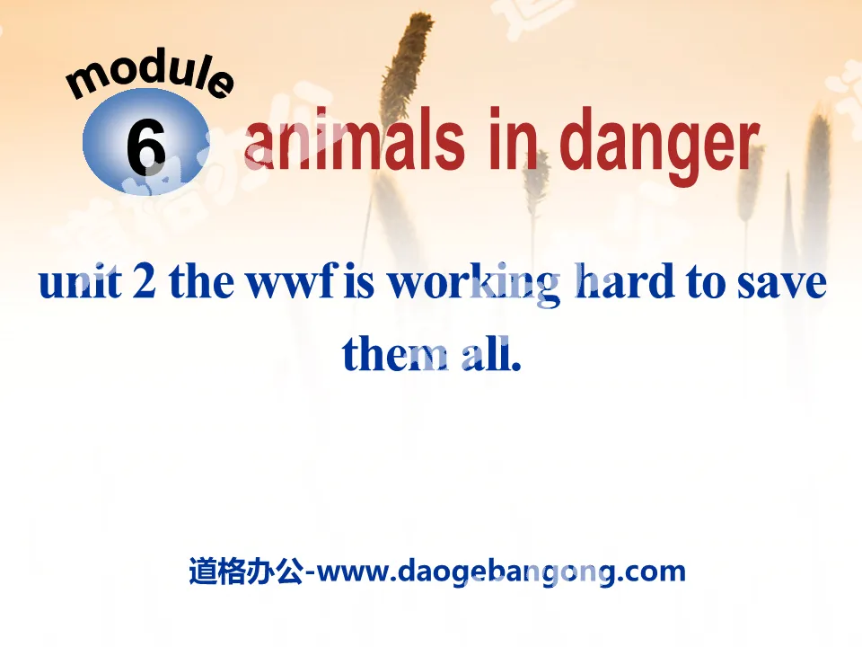 《The WWF is working hard to save them all》Animals in danger PPT課件3