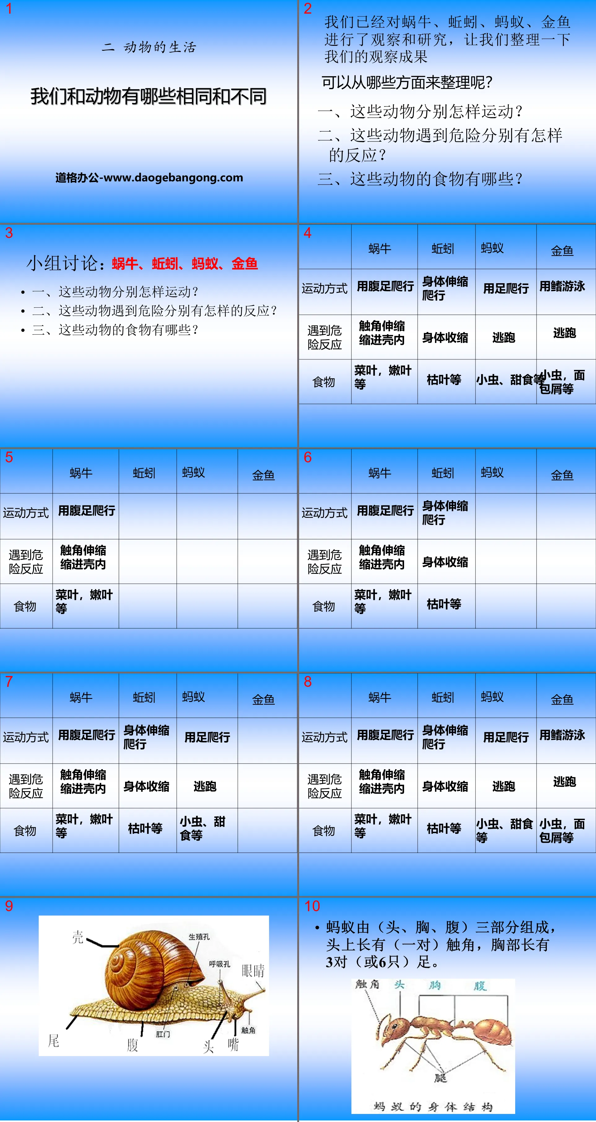 《我們和動物有哪些相同和不同》動物的生活PPT課件3