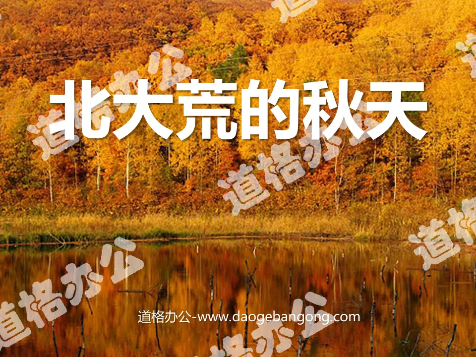 "Autumn in Beidahuang" PPT courseware