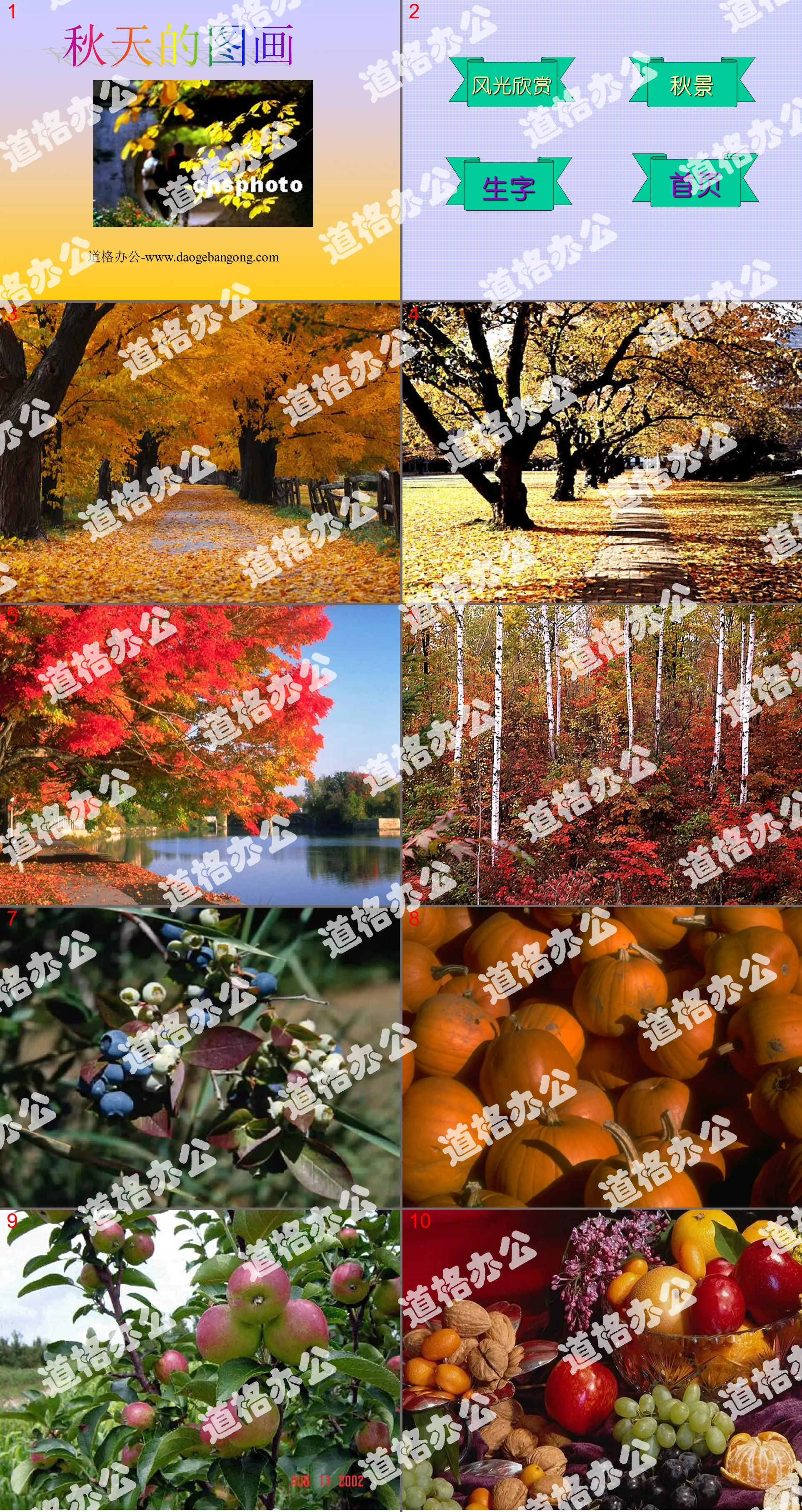 "Photos d'automne" PPT