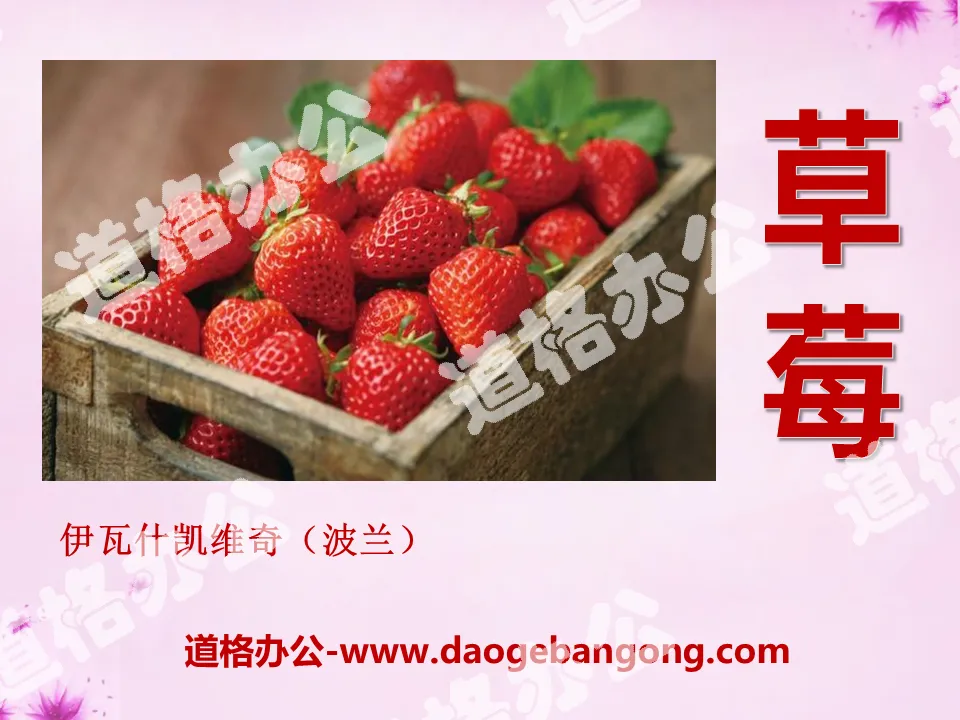 "Strawberry" PPT courseware
