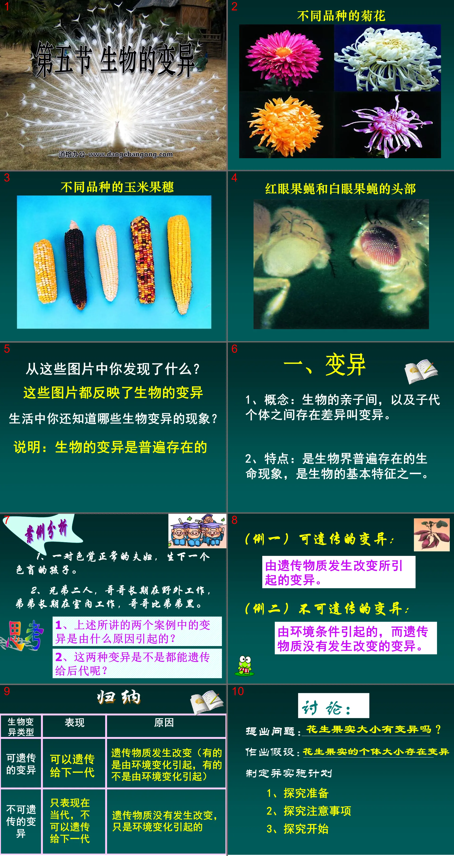 《生物的变异》生物的遗传和变异PPT课件5
