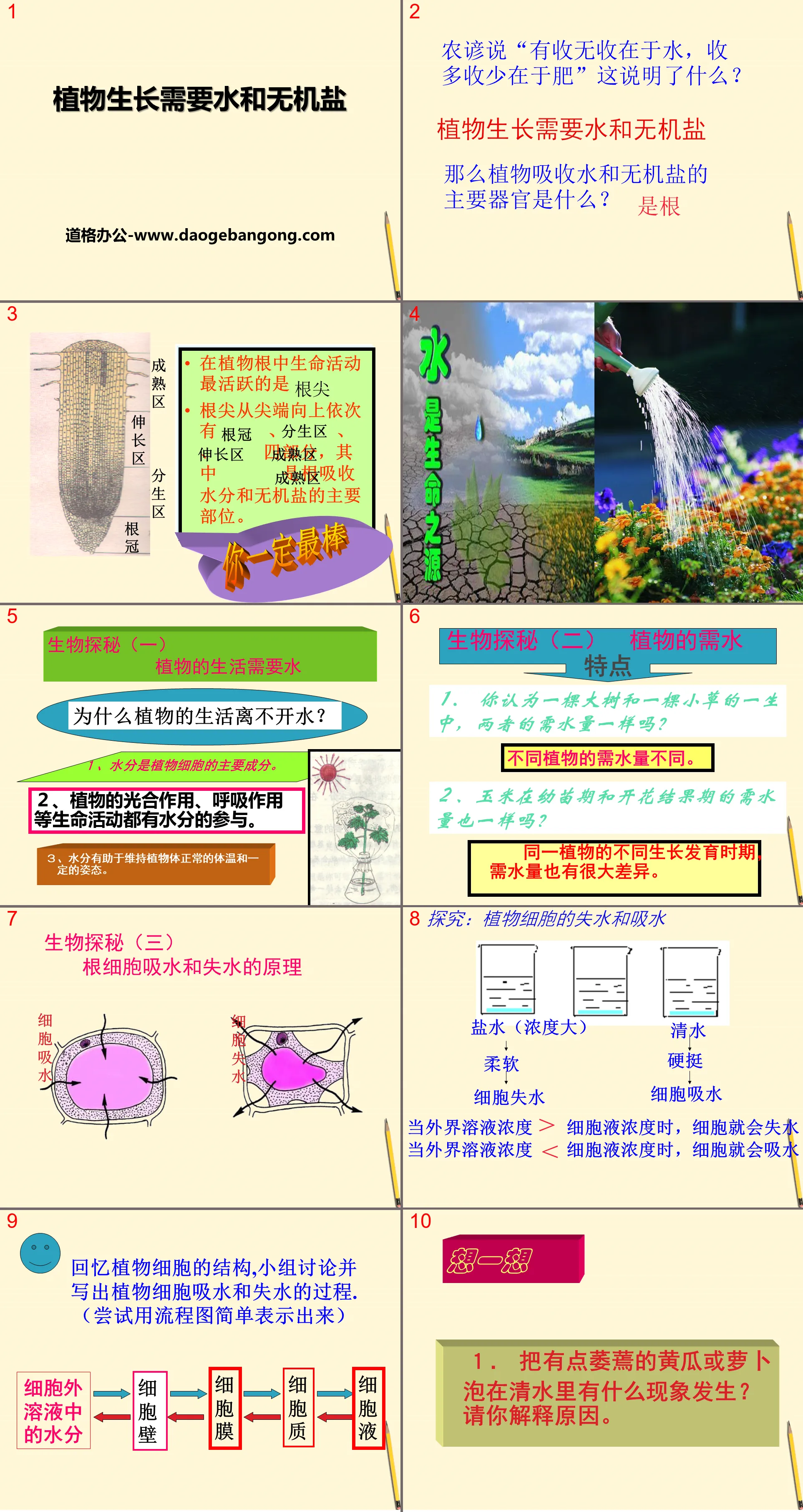 《植物生長需要水和無機鹽》PPT