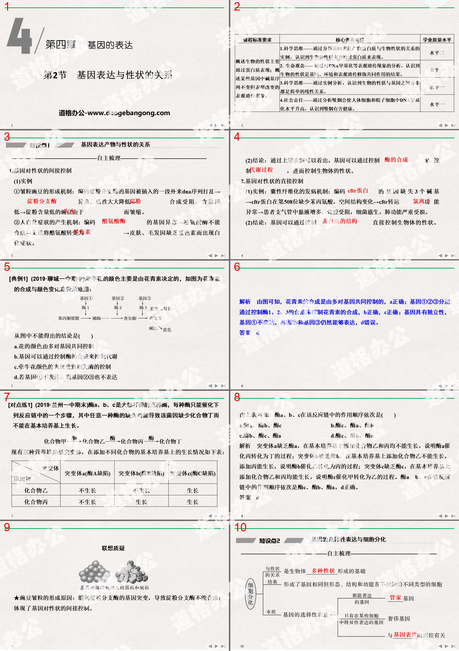 《基因表現與性狀的關係》基因的表達PPT課件