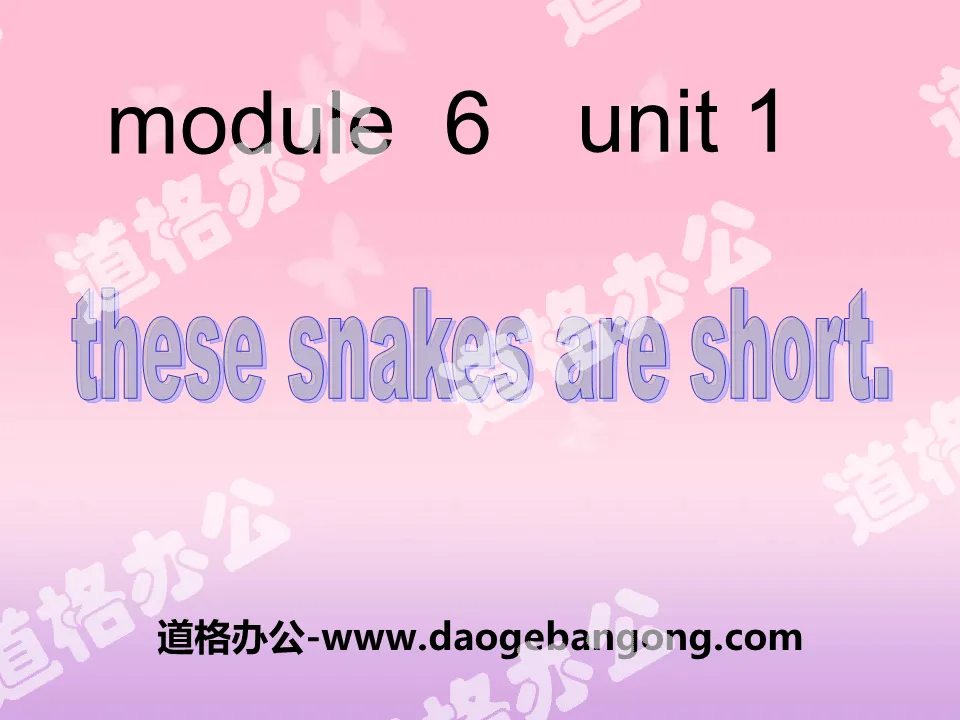 "These snakes are short" PPT courseware