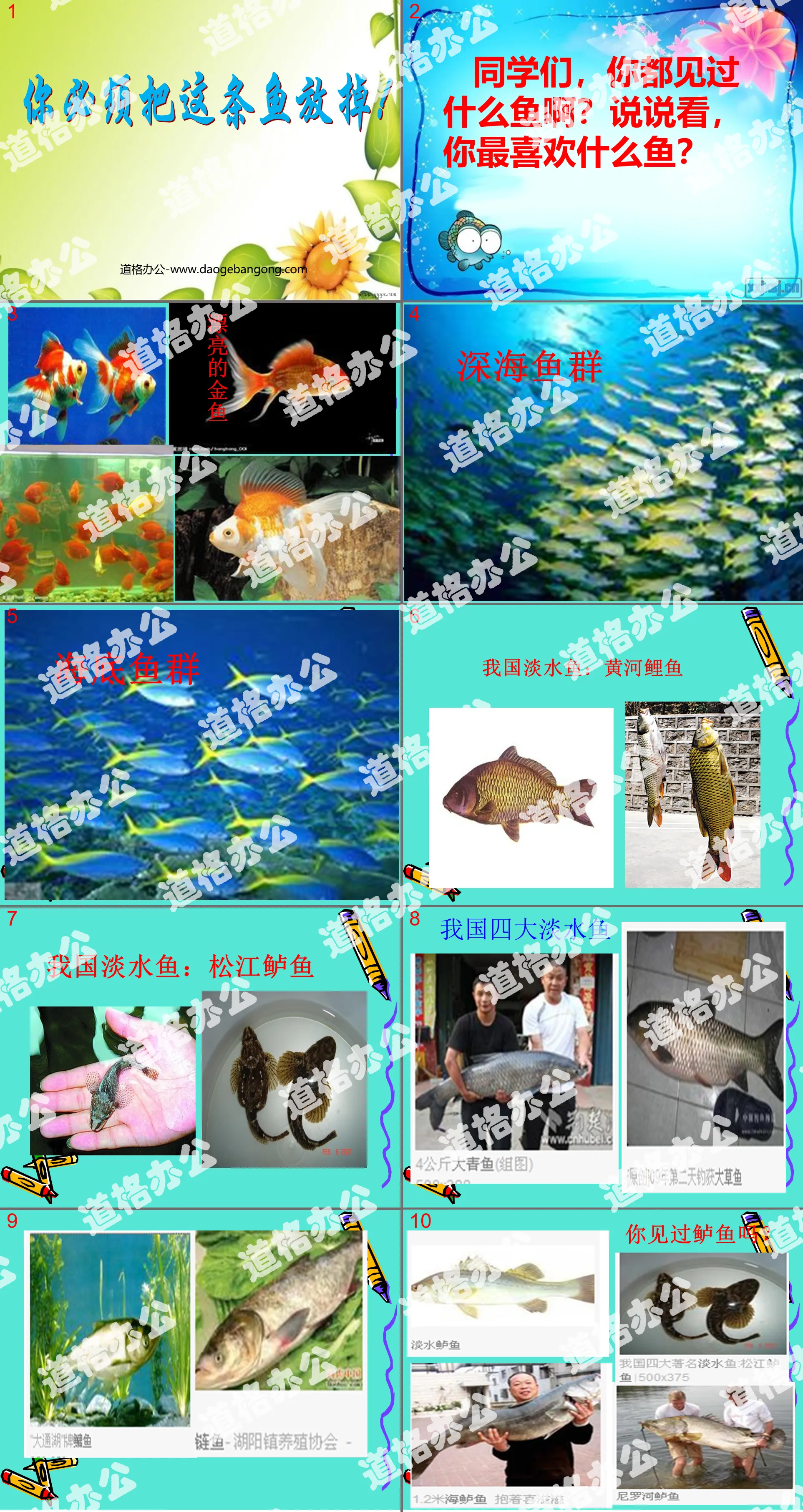 "You must let this fish go" PPT courseware 4