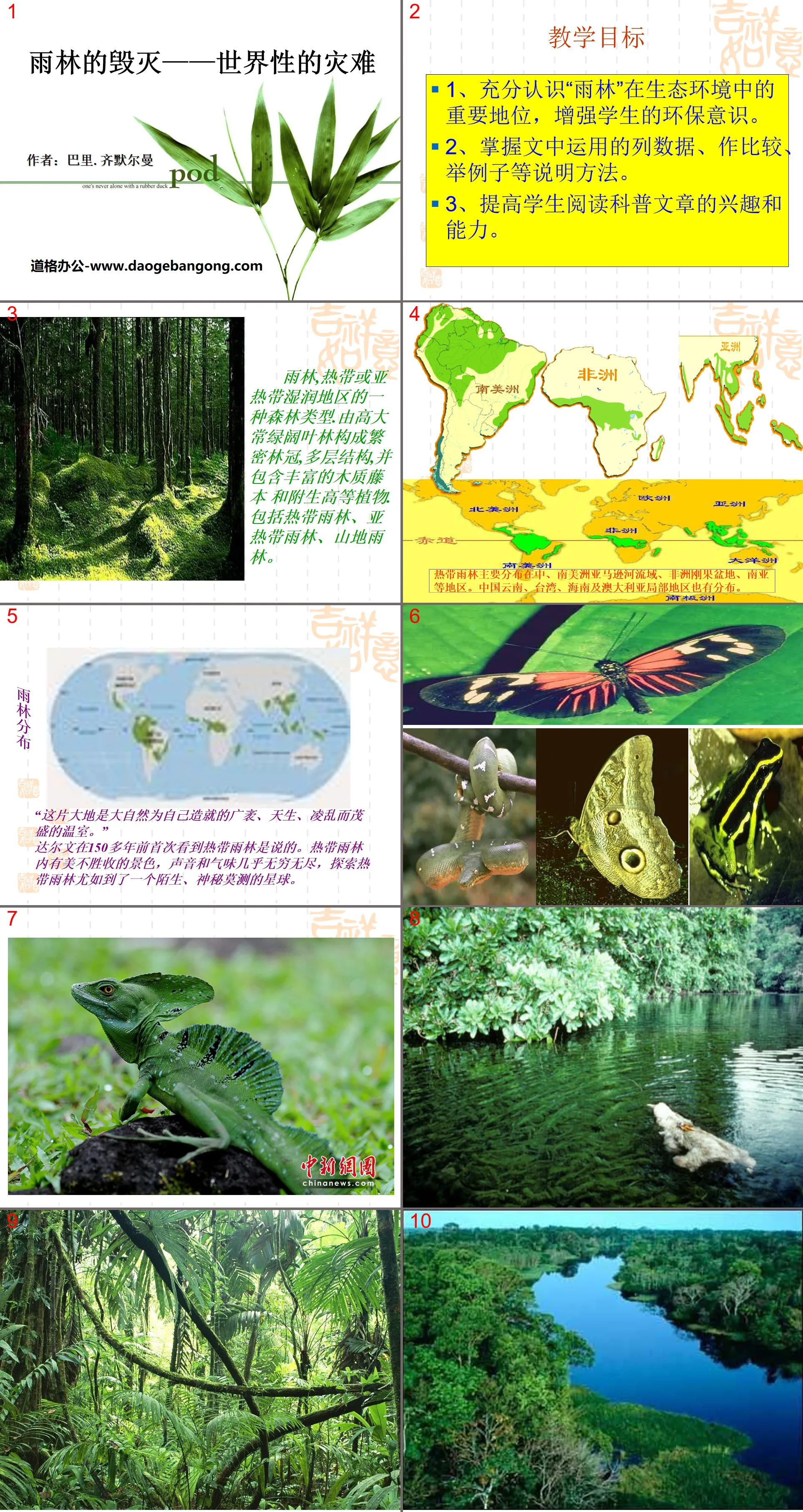 "The Destruction of the Rainforest—A Worldwide Disaster" PPT Courseware 3