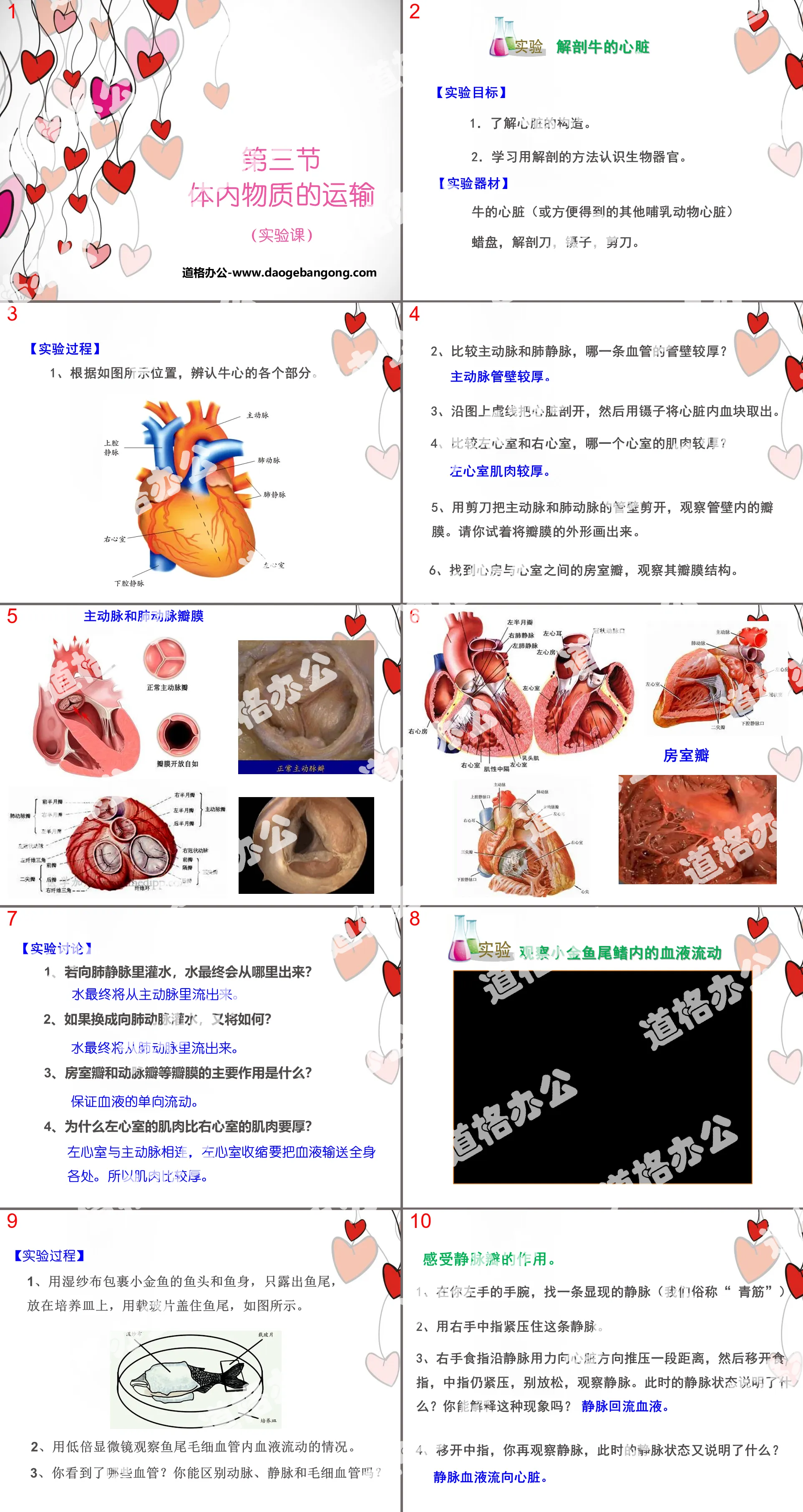 《体内物质的运输》PPT(实验课)