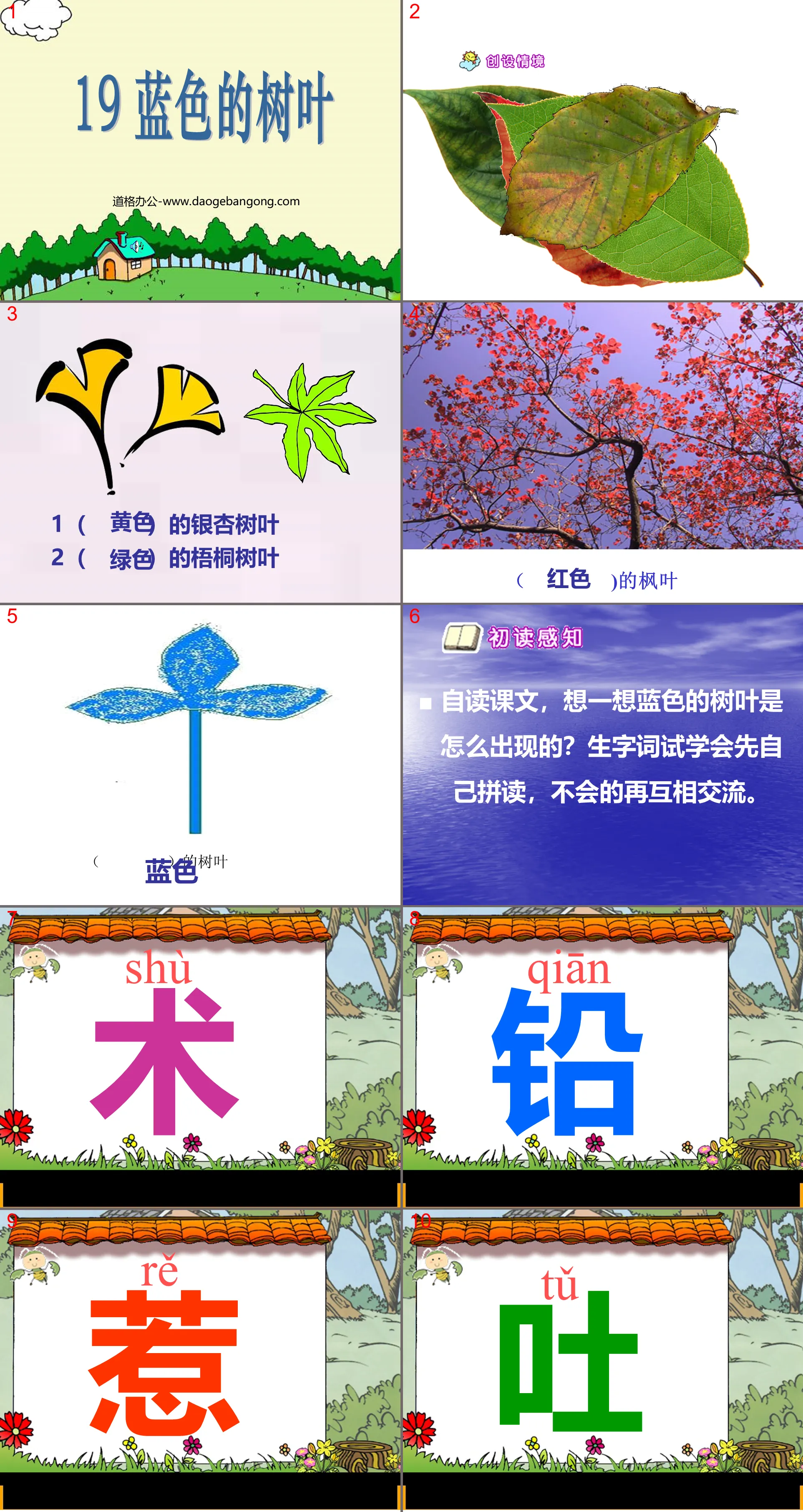 "Blue Leaves" PPT courseware