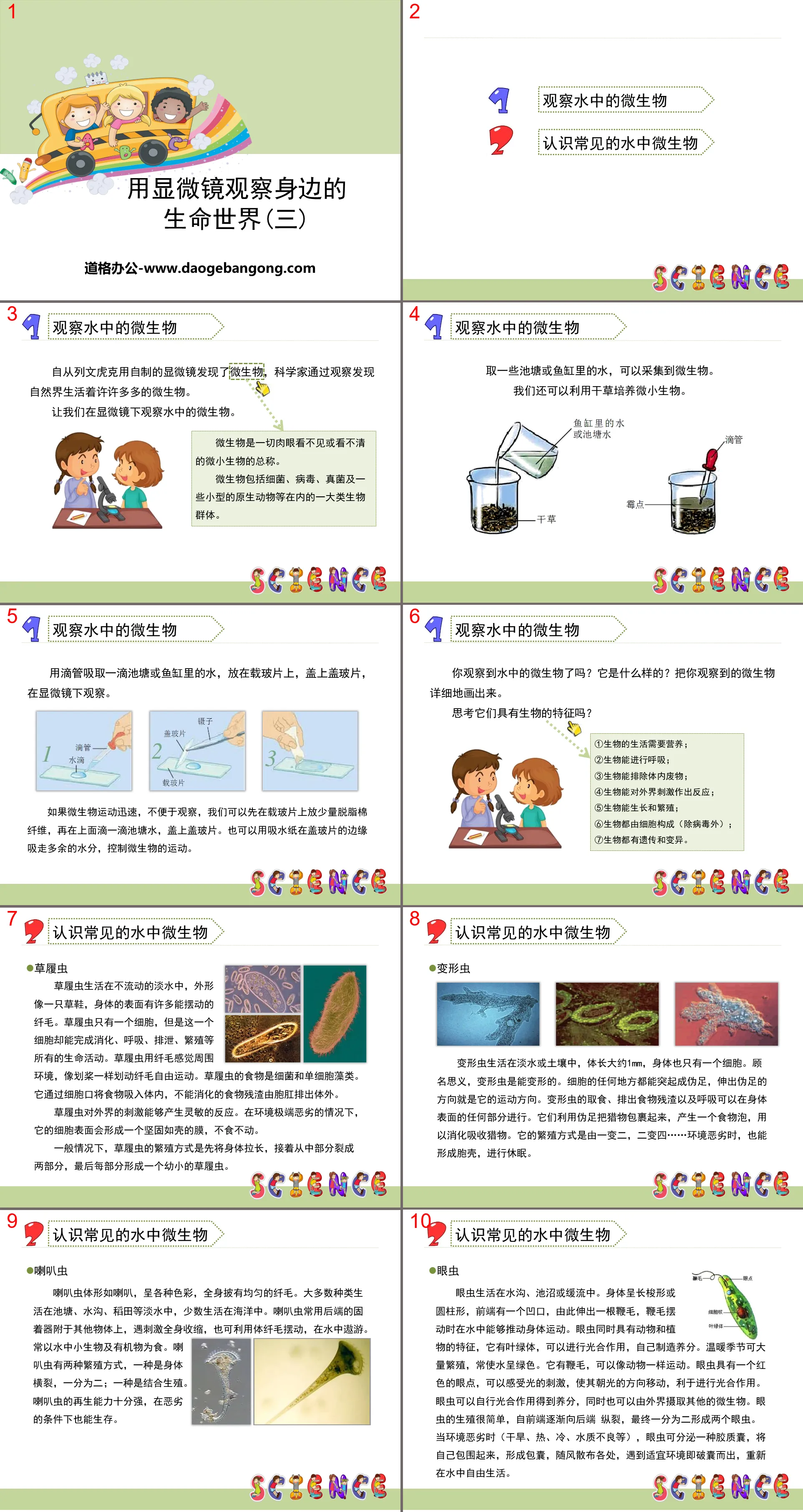 "Observe the living world around you with a microscope (3)" Tiny World PPT