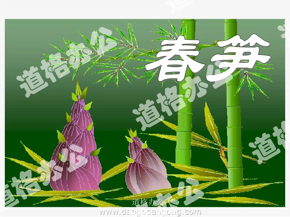 "Spring Bamboo Shoots" PPT Courseware 2
