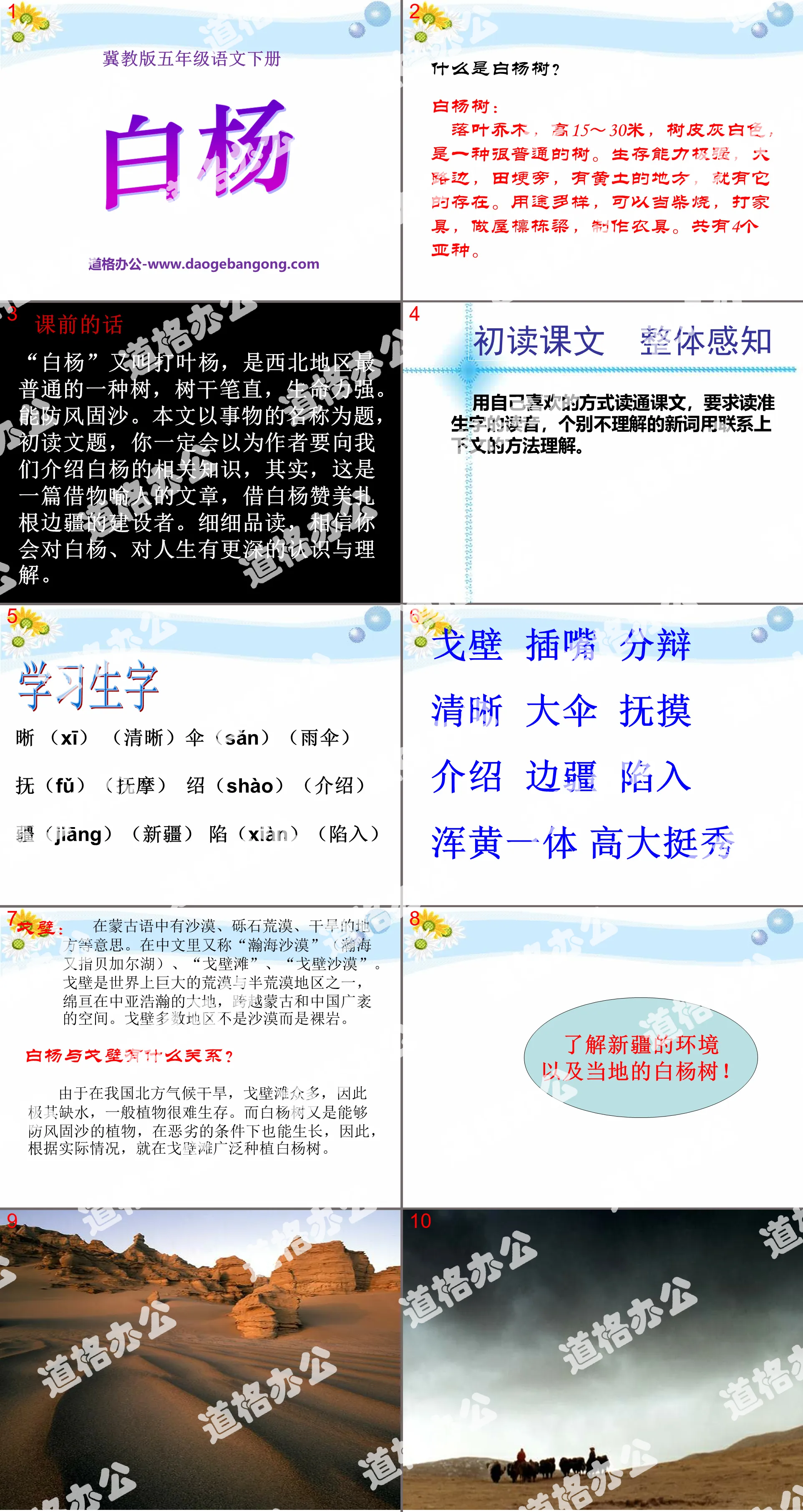 《白杨》PPT课件10
