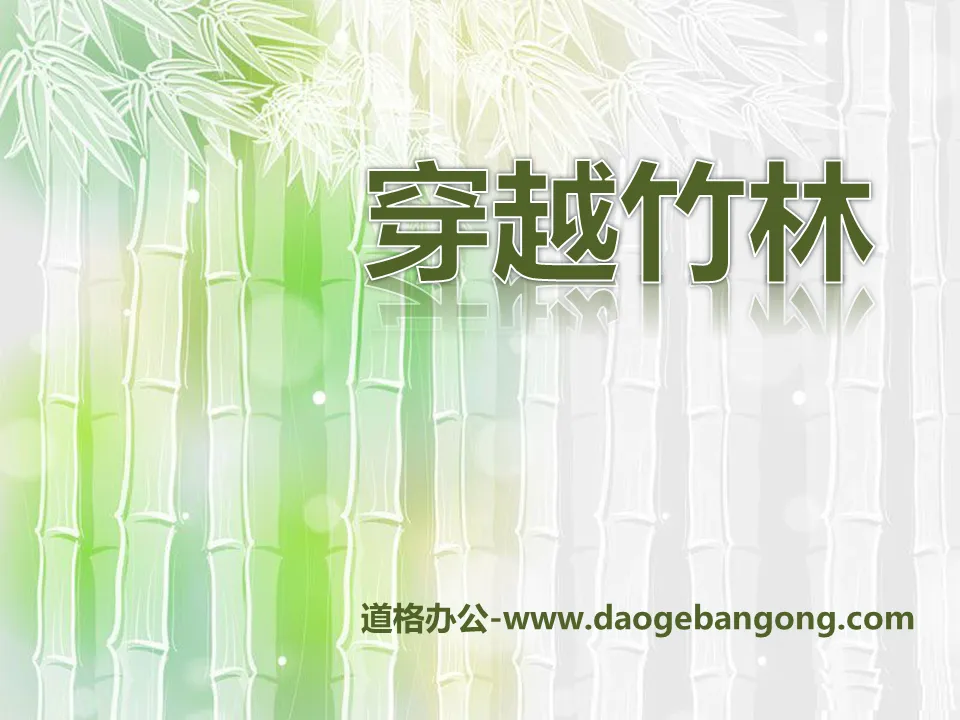 "Through the Bamboo Forest" PPT courseware