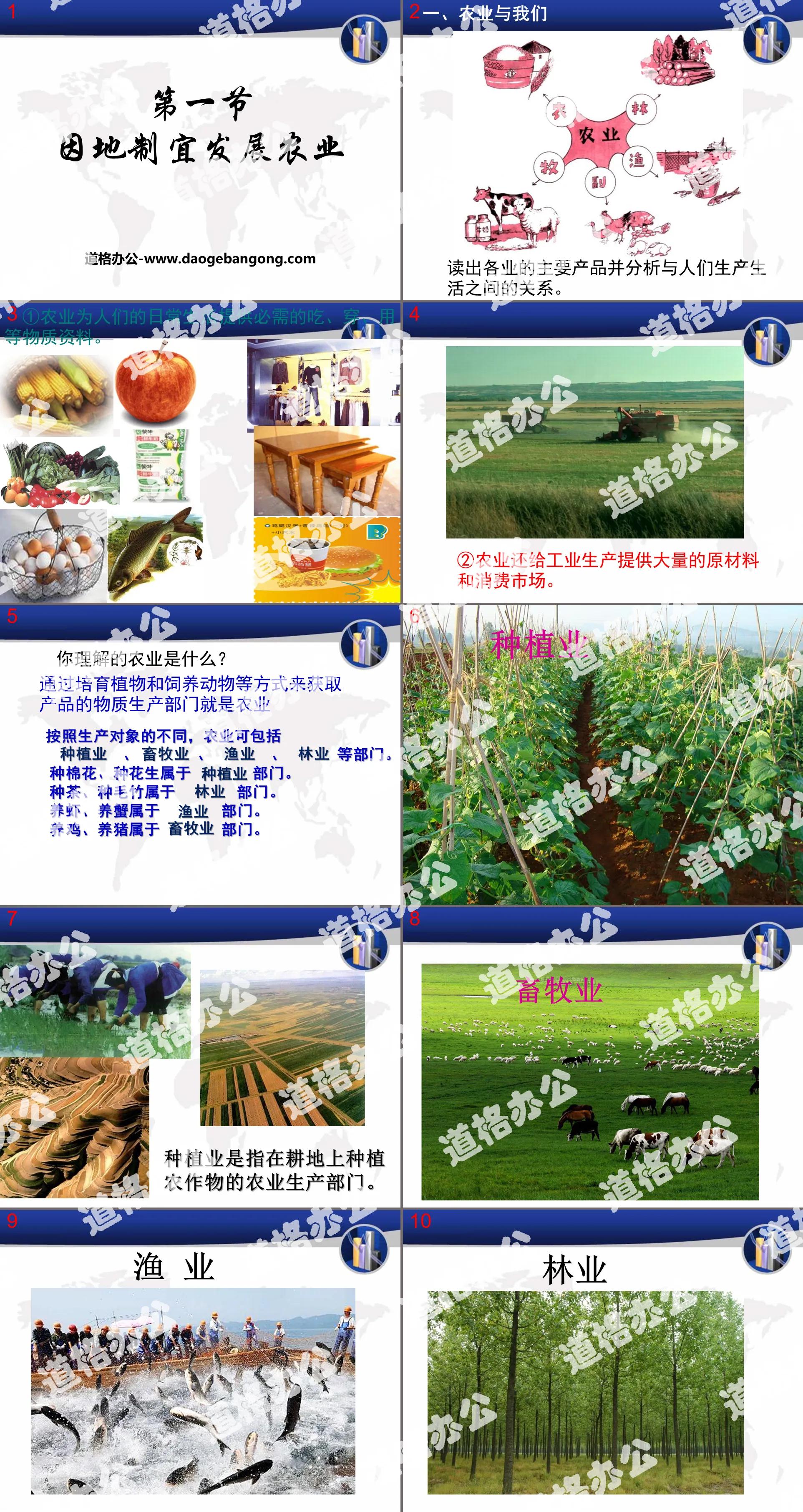 "Developing Agriculture According to Local Conditions" PPT courseware download