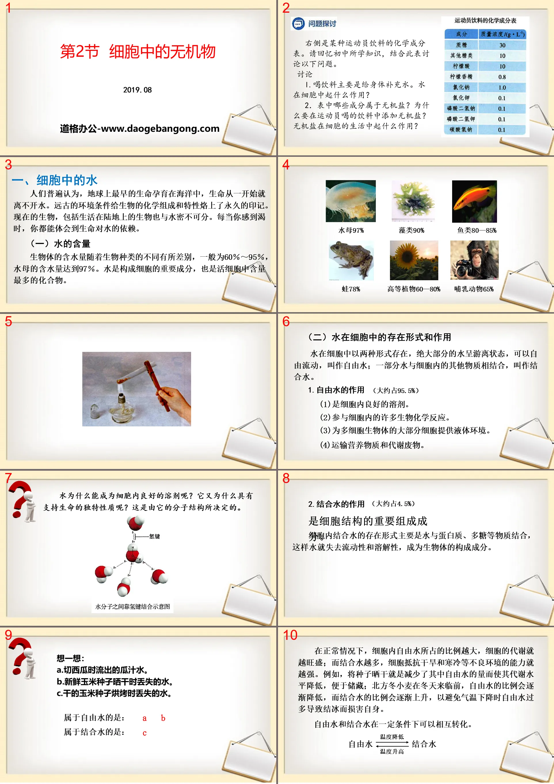 《細胞中的無機物》組成細胞的分子PPT下載