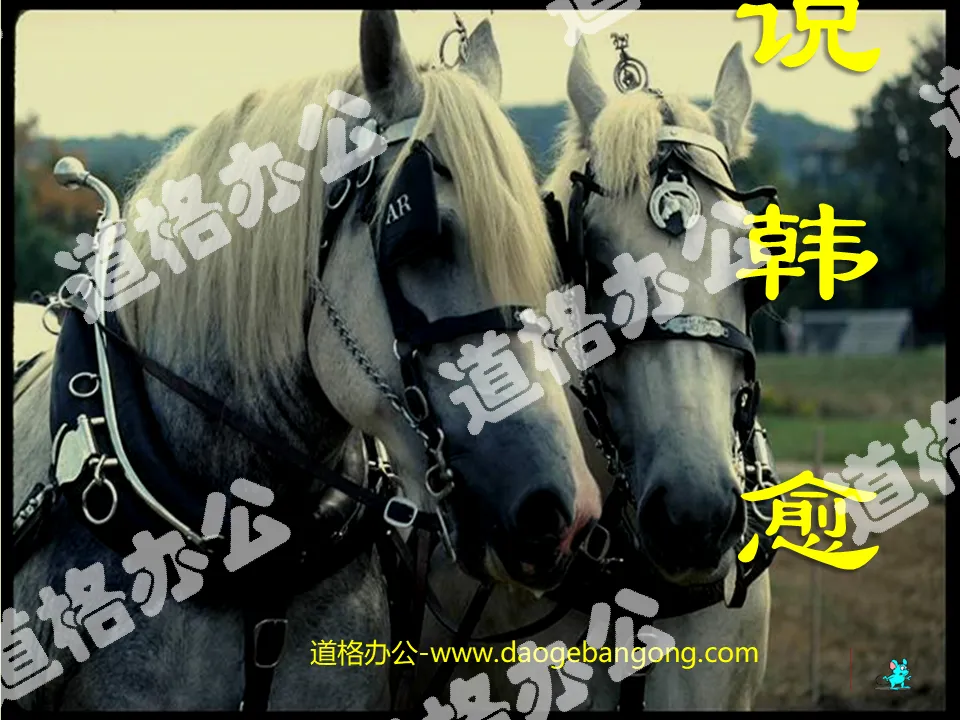 Didacticiel PPT "Horse Talk" 6