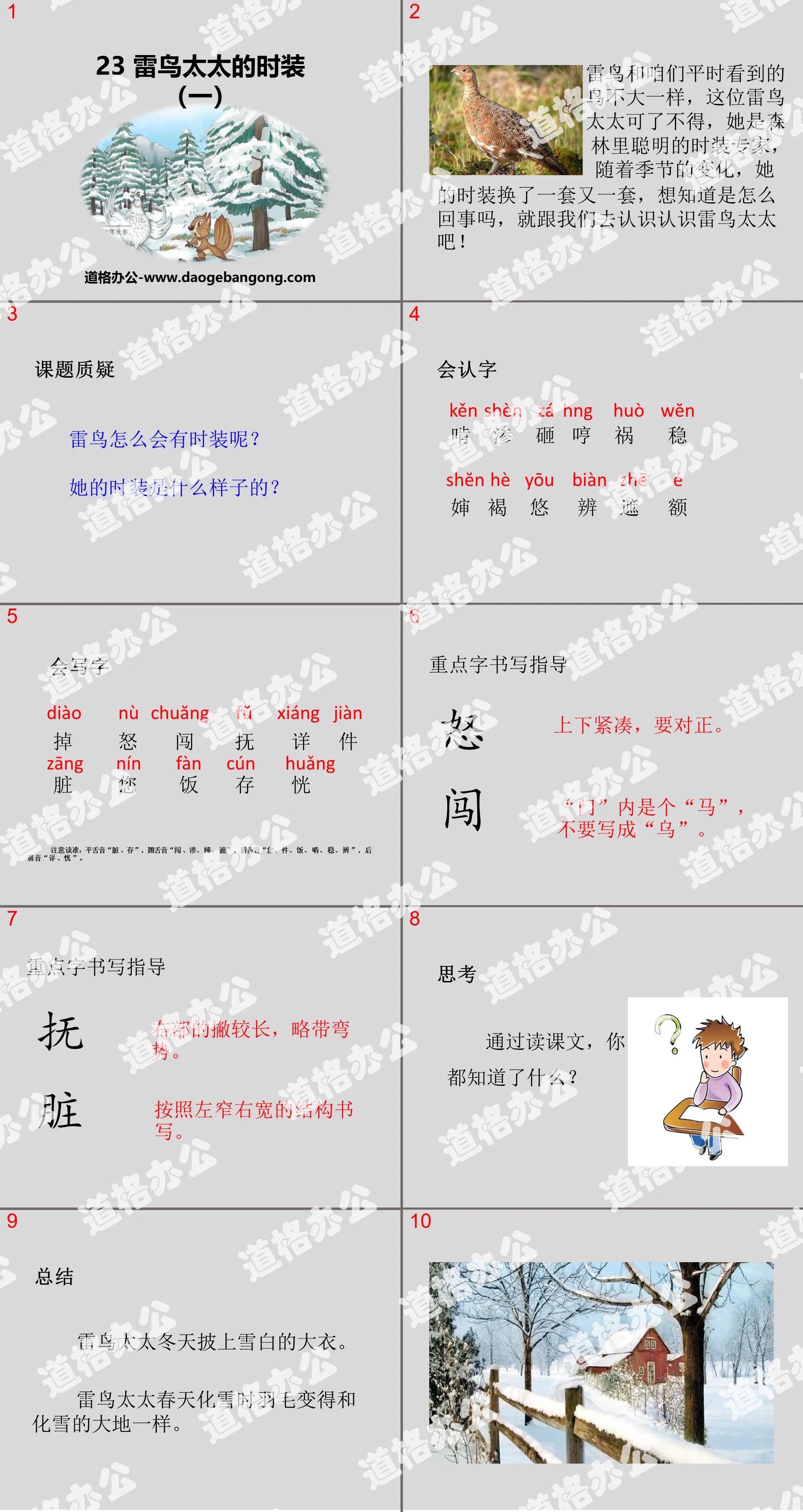 《雷鳥太太的時裝(一)》PPT下載