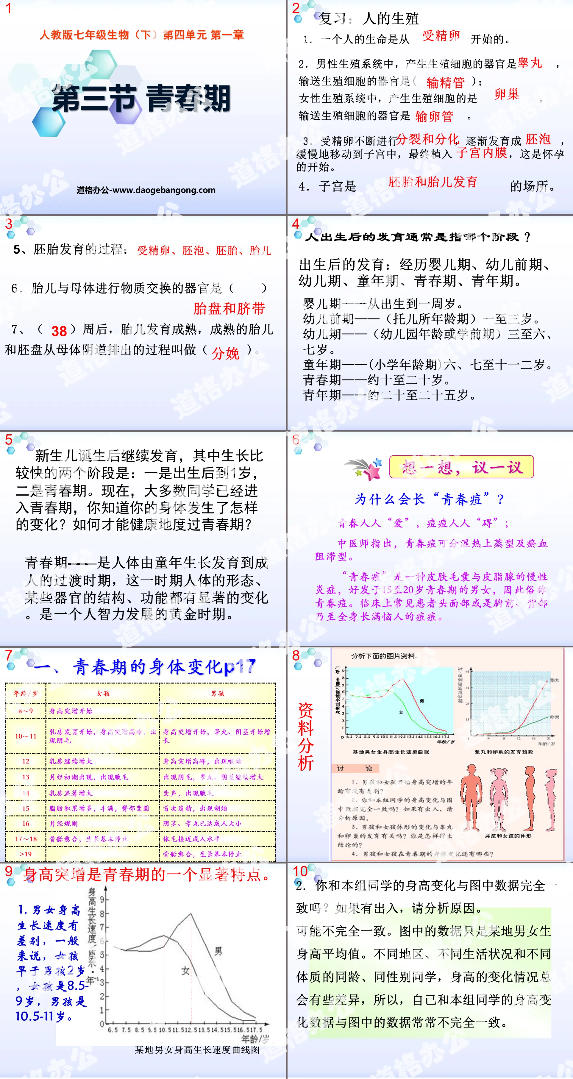 《青春期》人的由來PPT課件5