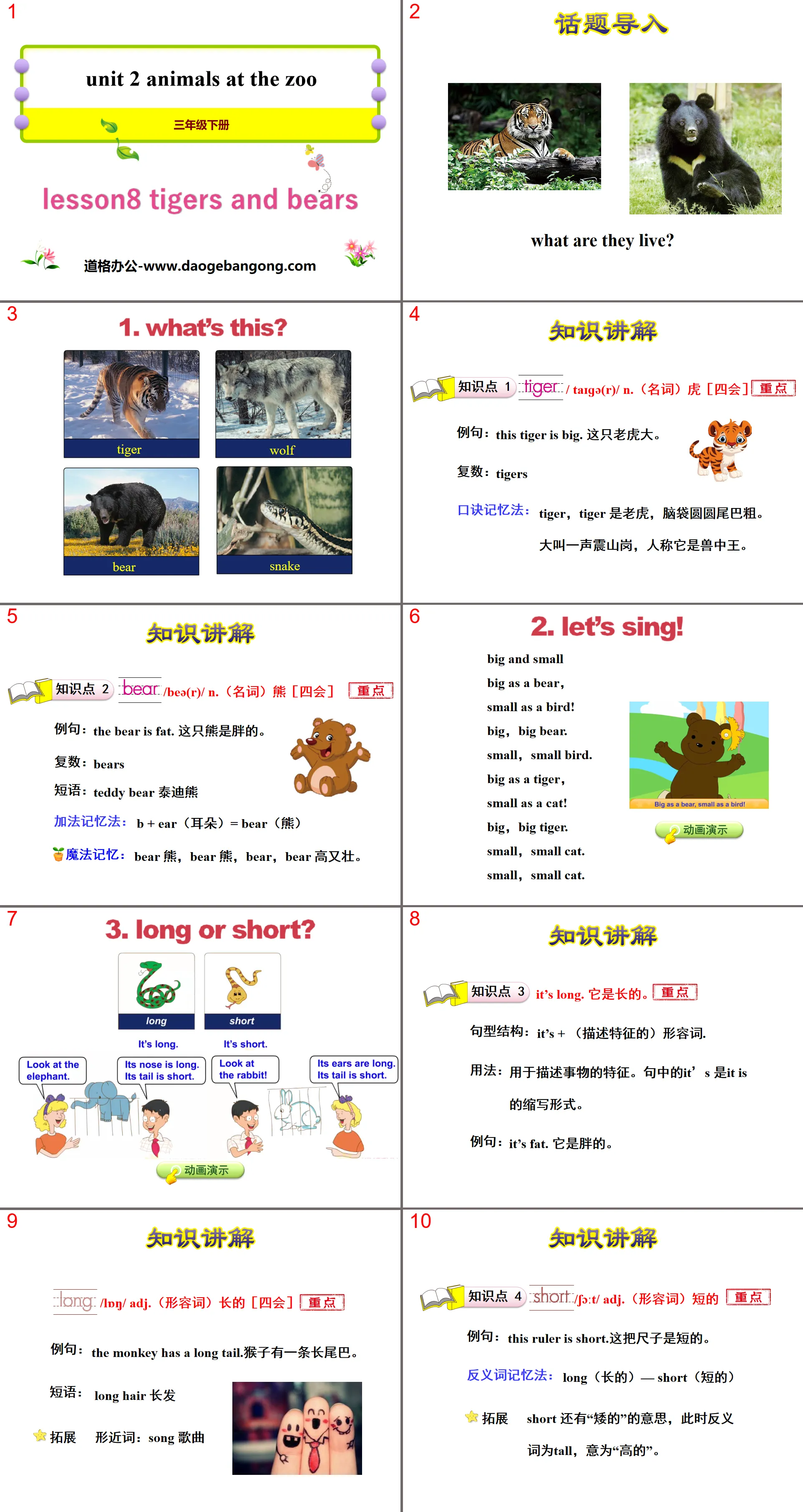 《Tigers and Bears》Animals at the zoo PPT