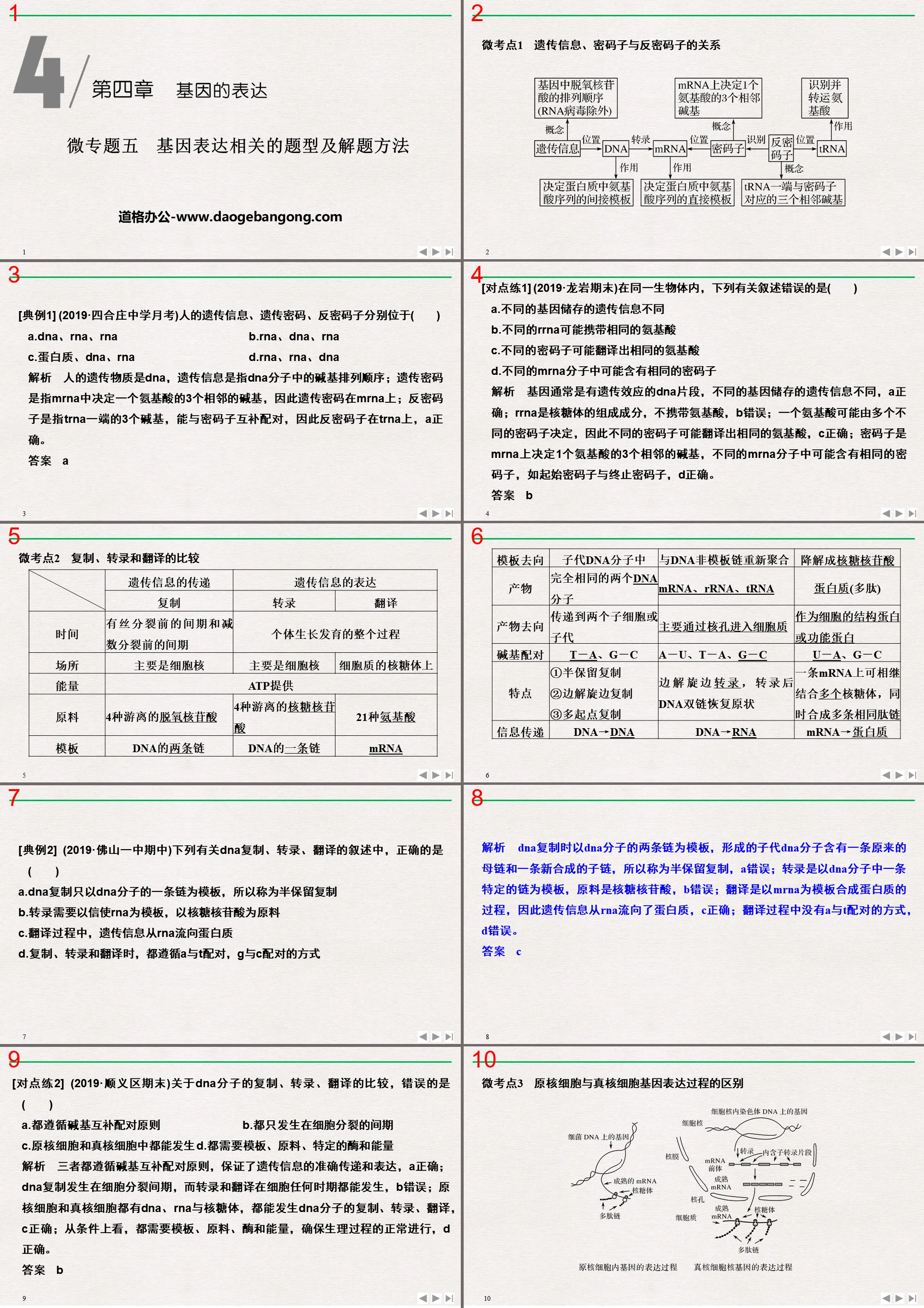 《微專題五　基因表現相關的題型及解題方法》基因的表達PPT課件