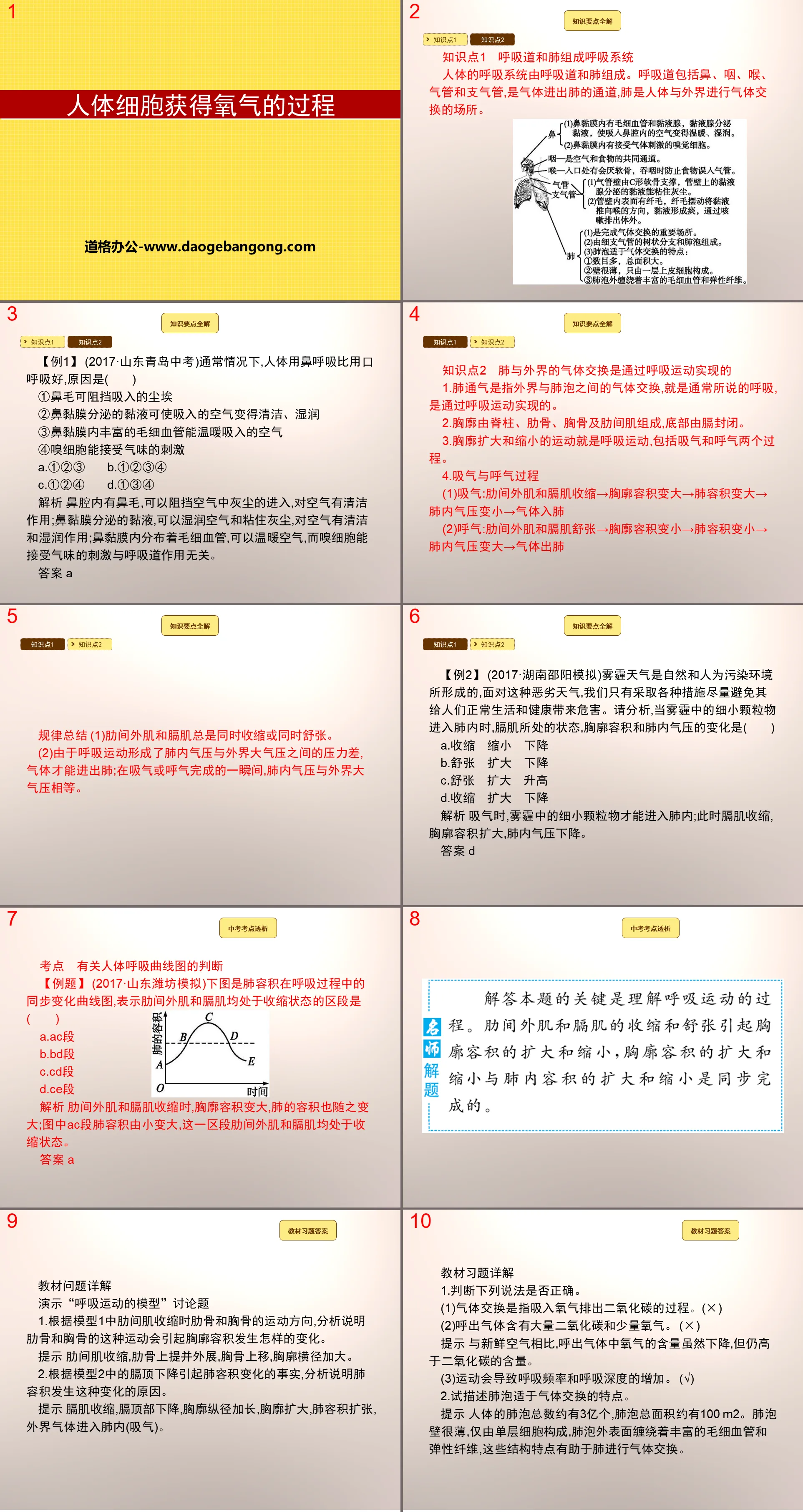 《人体细胞获得氧气的过程》PPT下载
