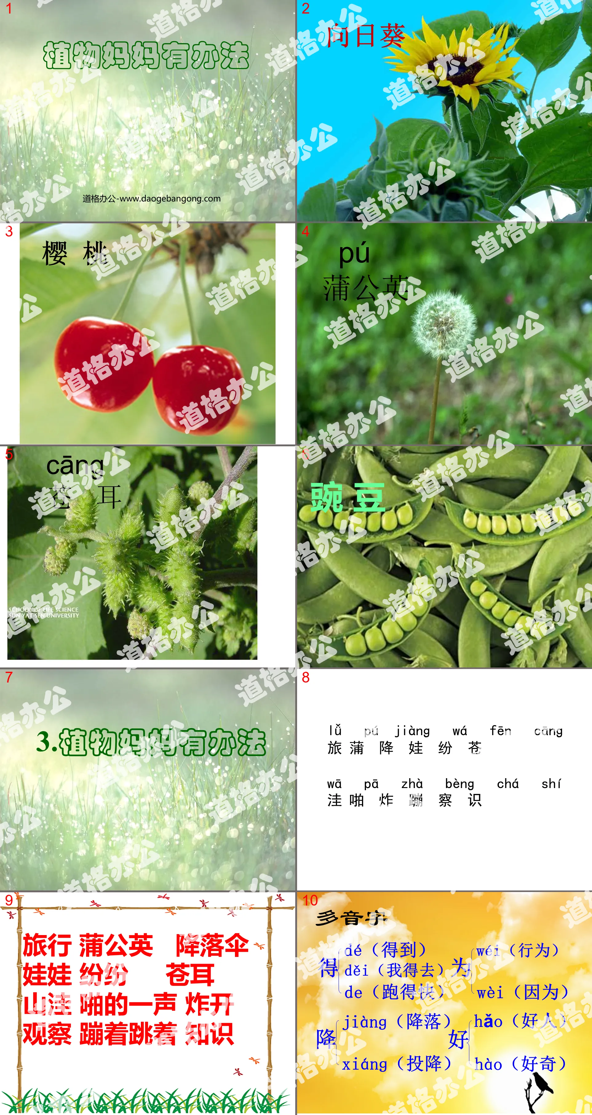 《植物媽媽有辦法》PPT教學課程下載4