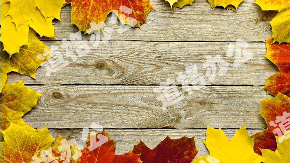 Three exquisite autumn leaves PPT background pictures free download