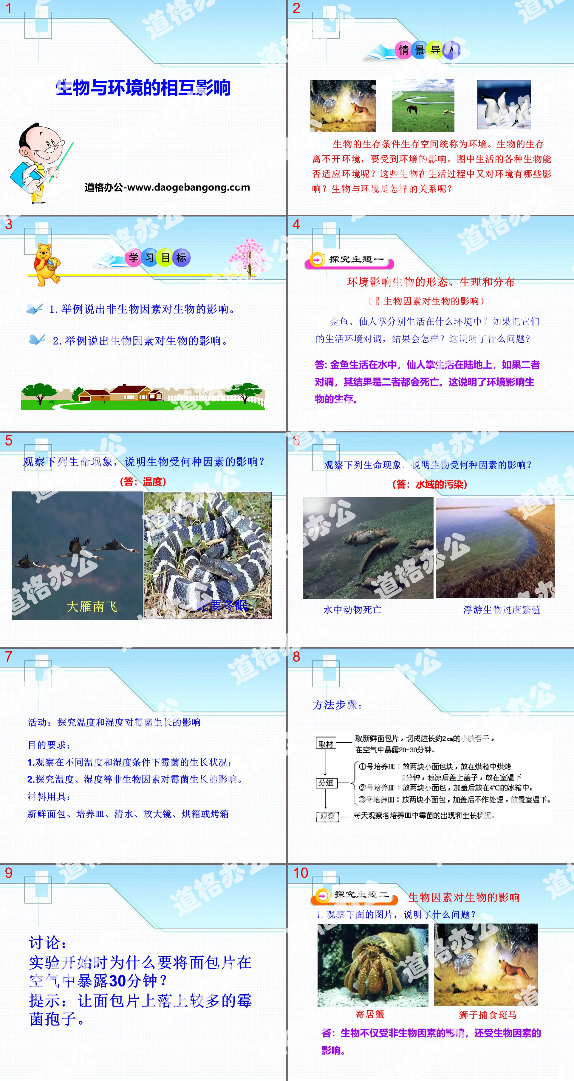 《生物與環境的相互影響》PPT