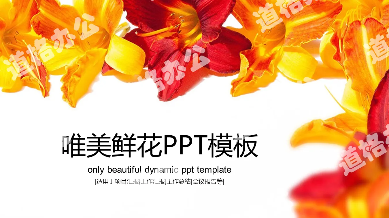 鮮豔花卉背景唯美PPT模板免費下載