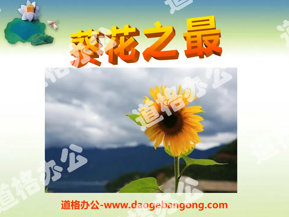 "The Best of Sunflowers" PPT courseware