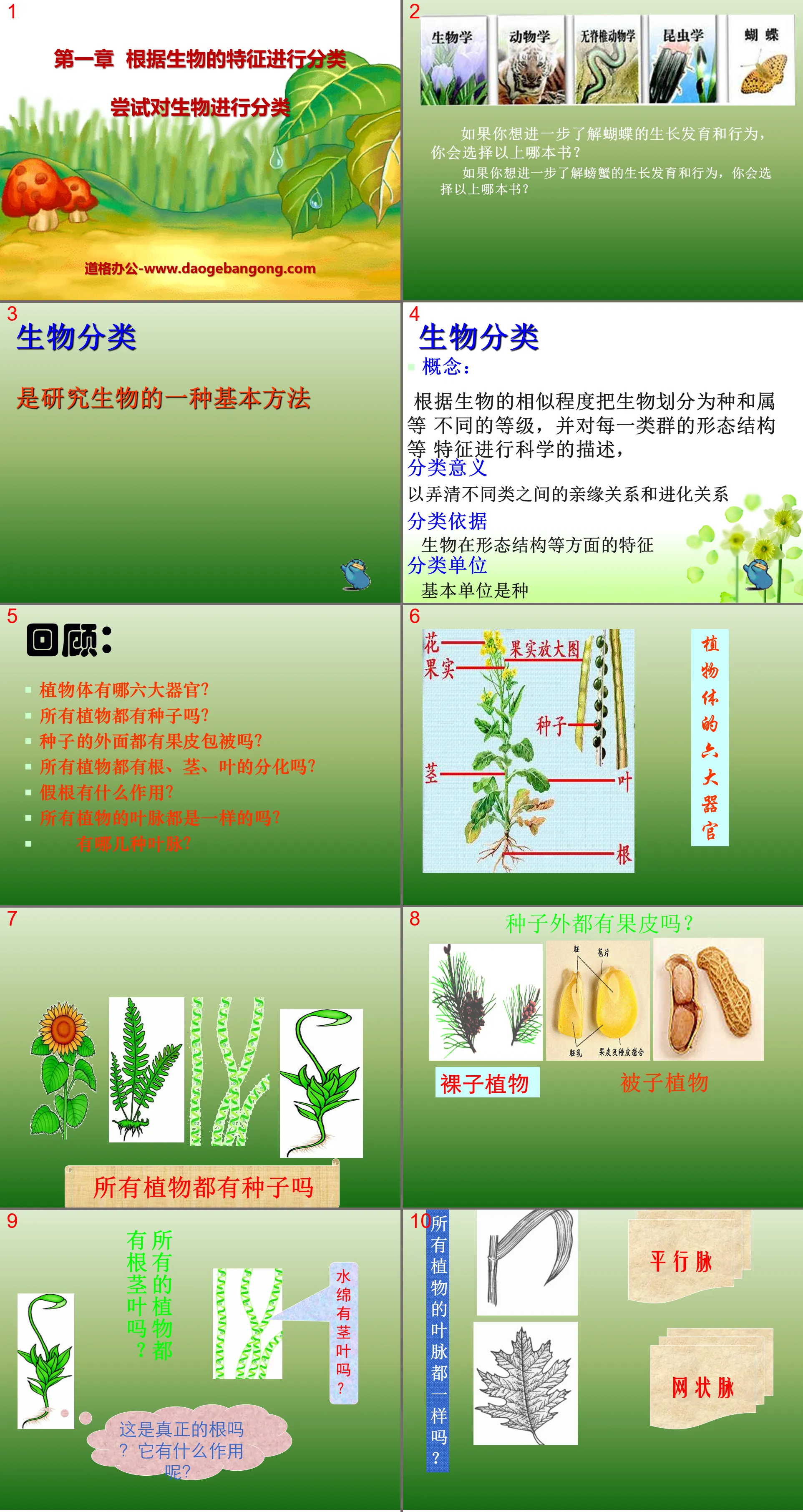 《尝试对生物进行分类》根据生物的特征进行分类PPT课件5
