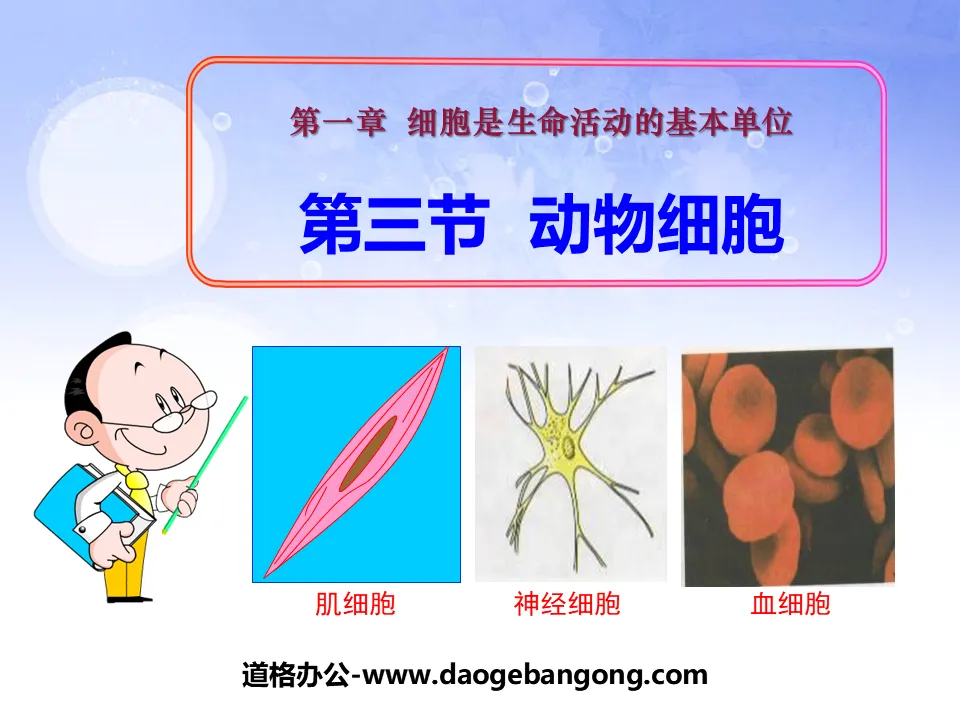"Animal Cell" Cell is the basic unit of life activity PPT courseware