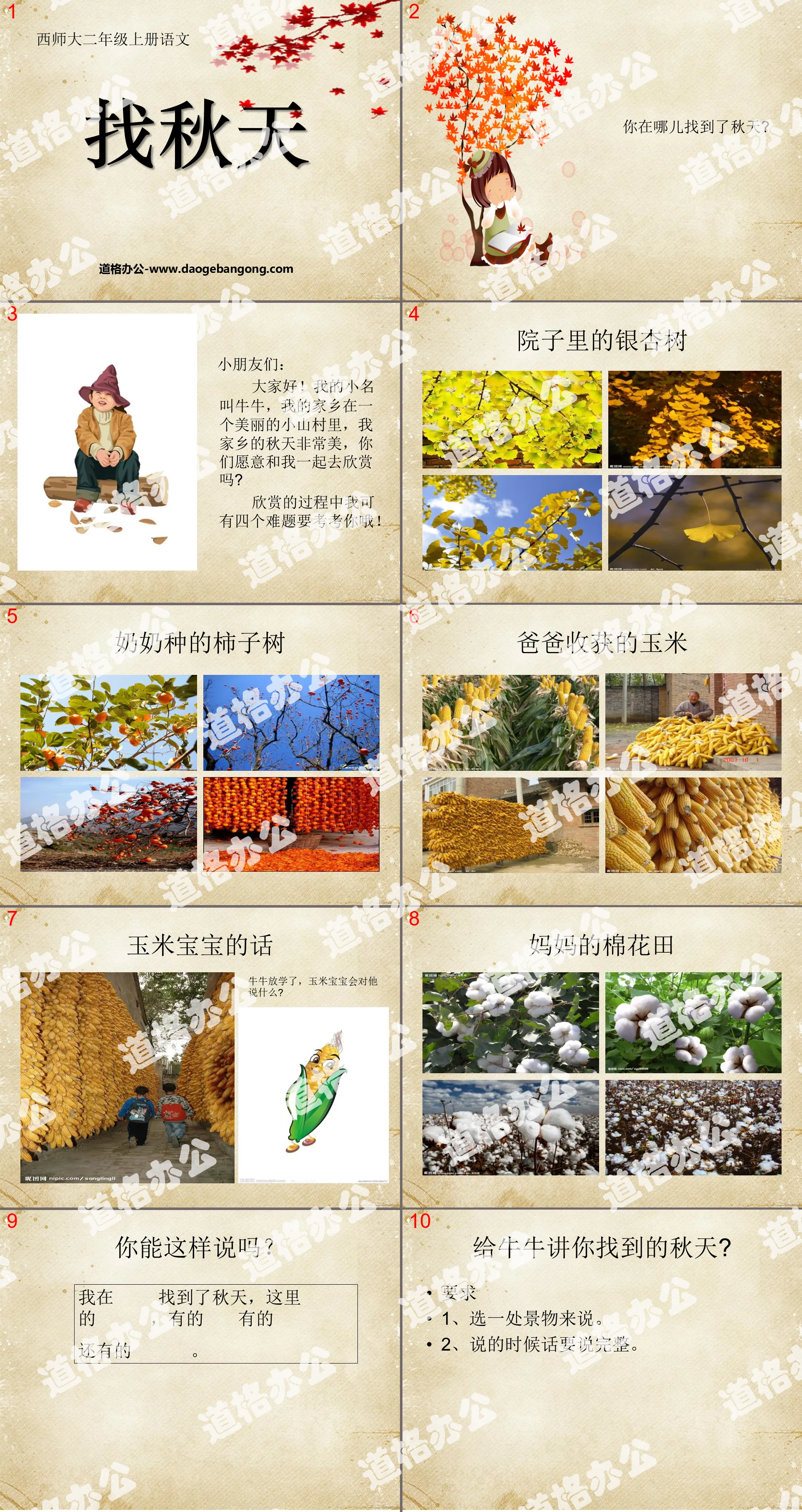 "Looking for Autumn" PPT courseware 2